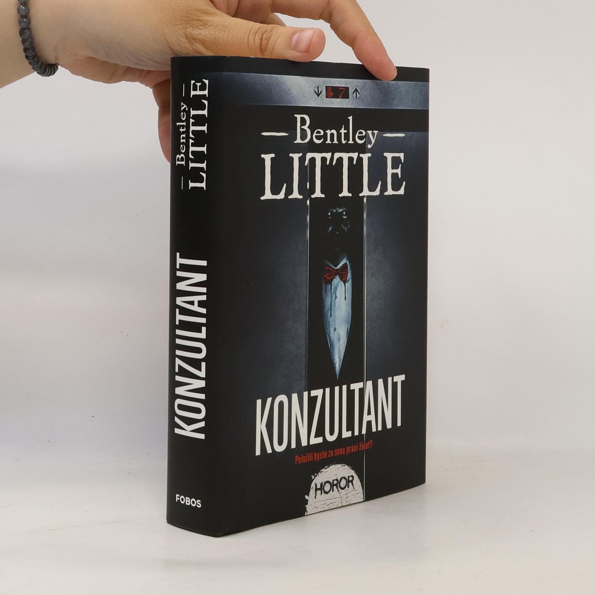 Bentley Little Konzultant