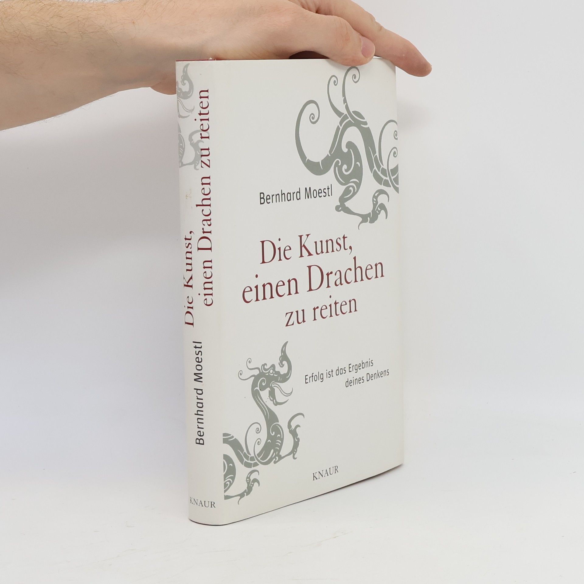 Bernhard Moestl Die Kunst, einen Drachen zu reiten