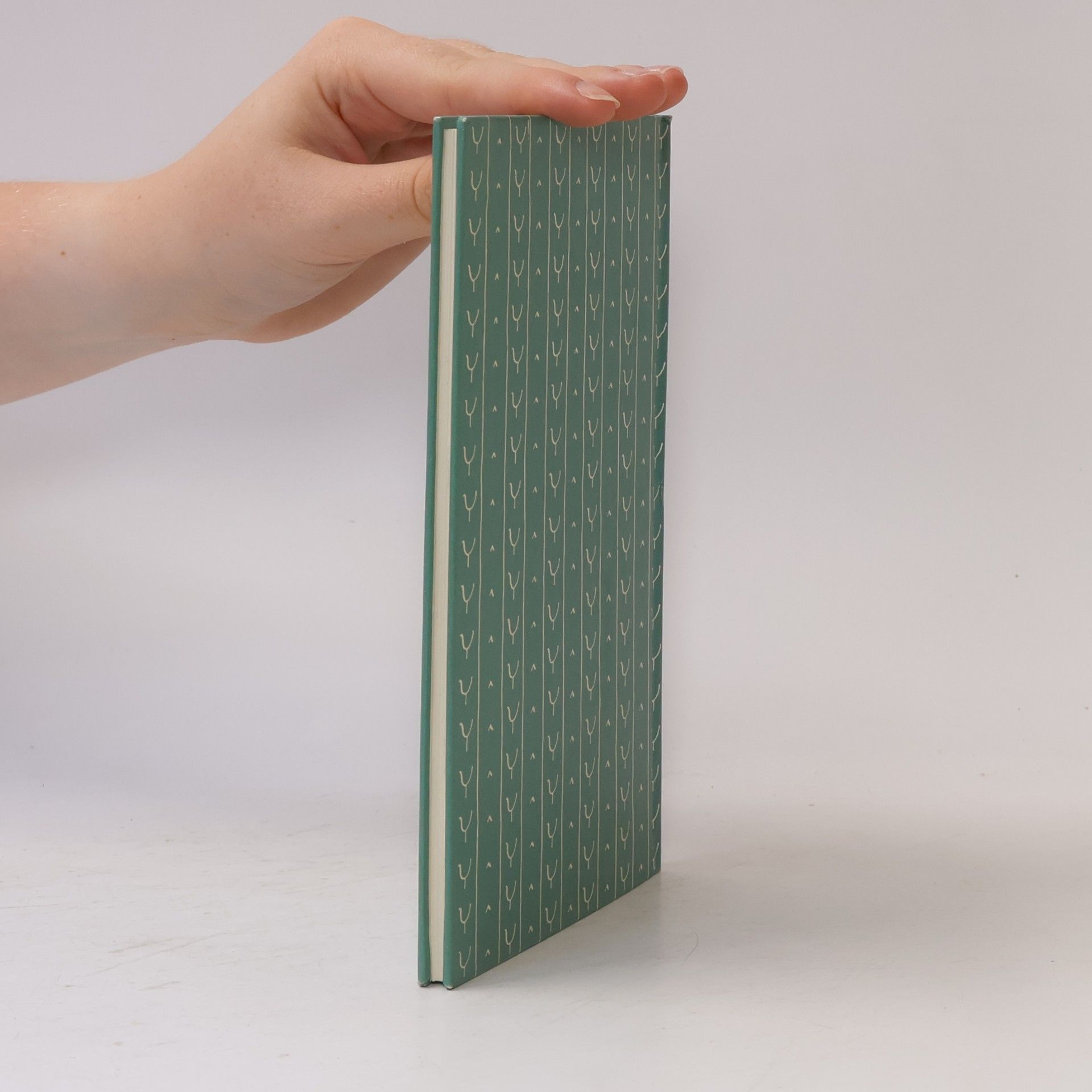 Rolf Dircksen Das kleine Vogelbuch