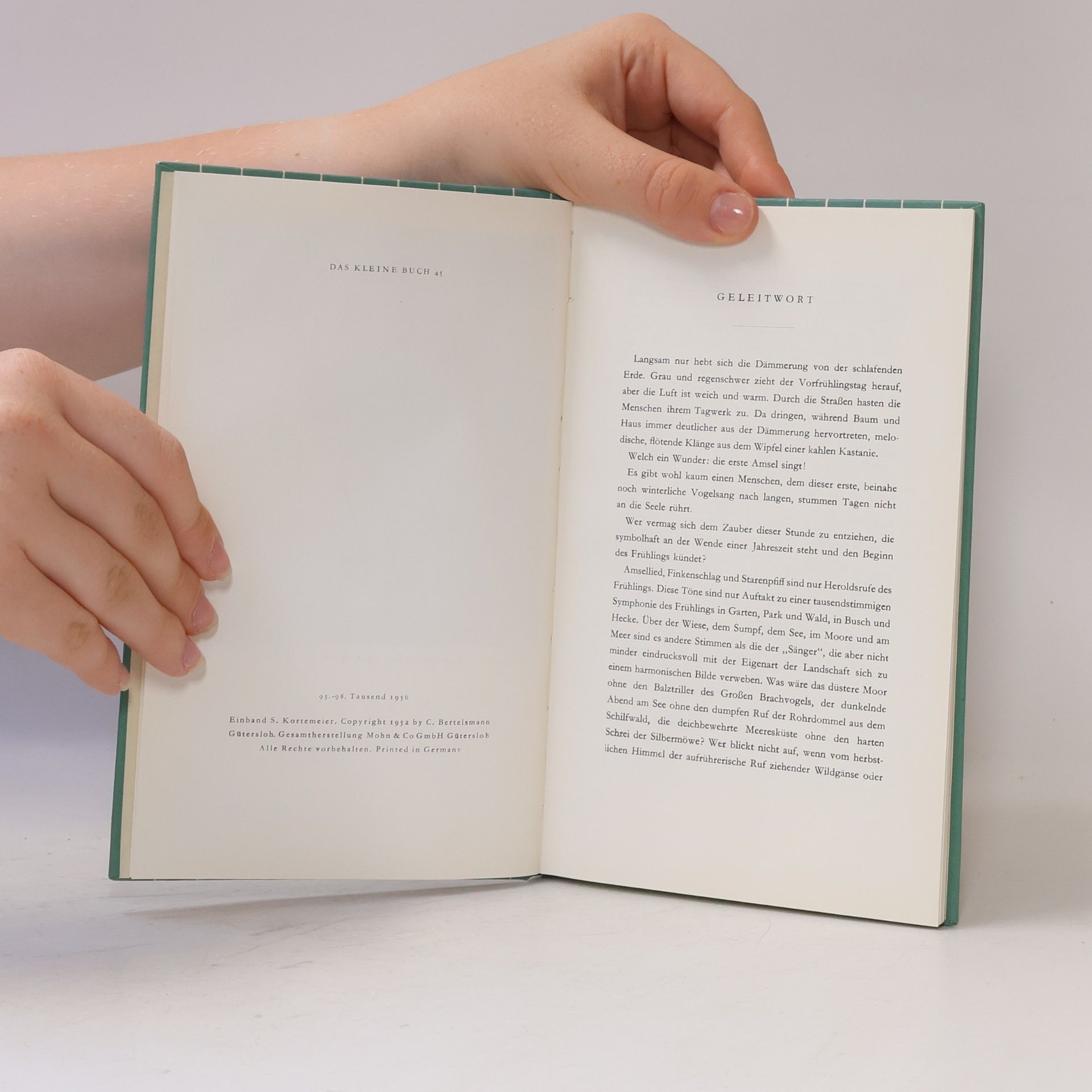 Rolf Dircksen Das kleine Vogelbuch