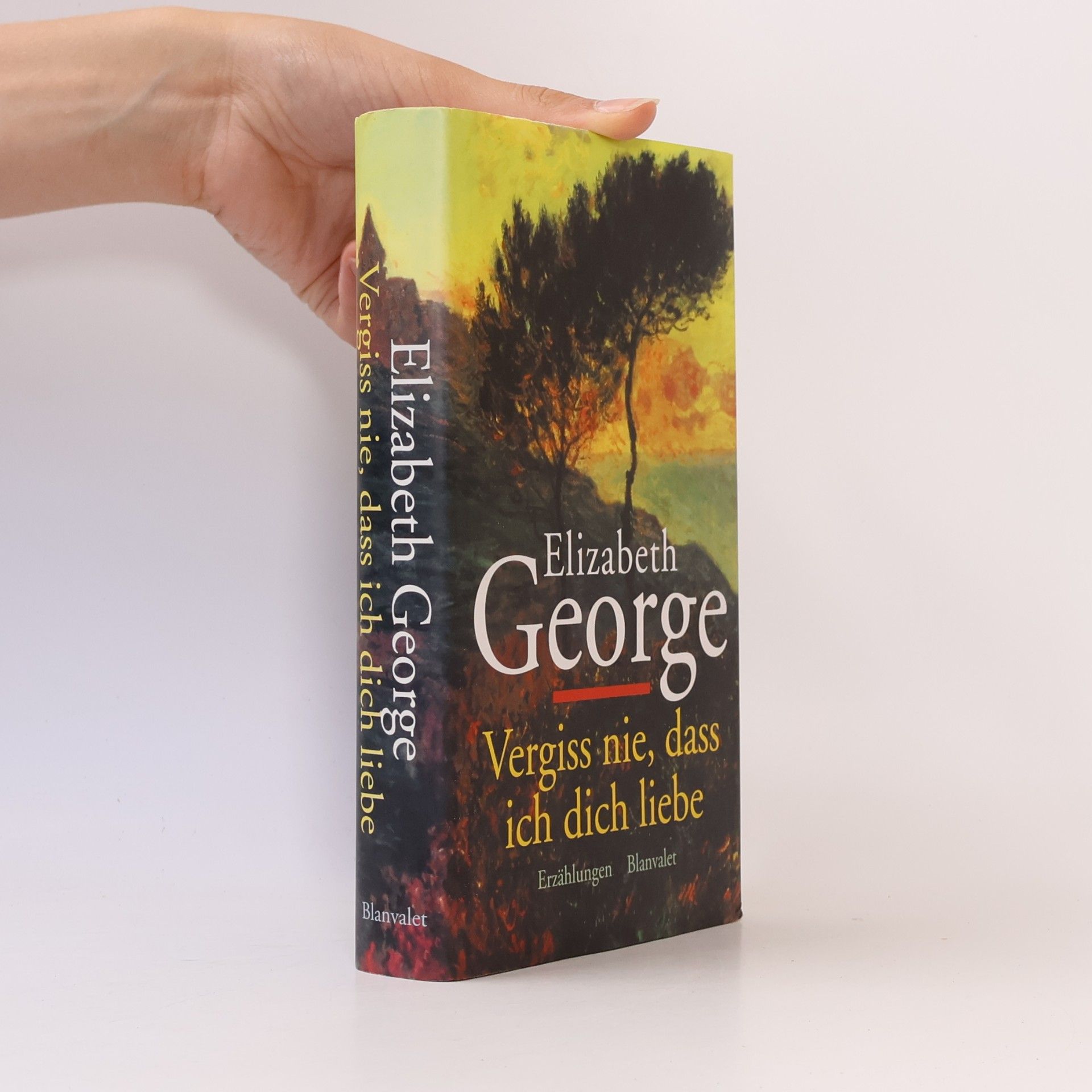 Elizabeth George Vergiss nie, daß ich Dich liebe.