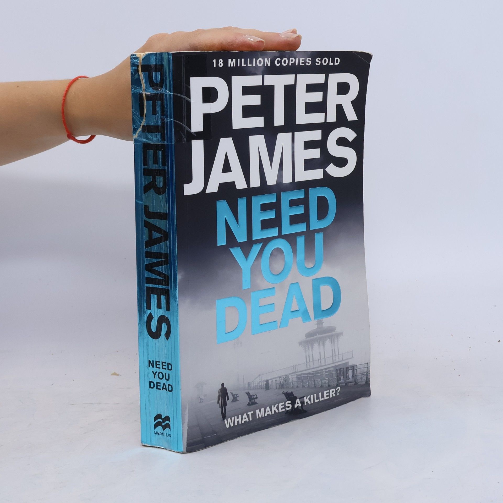 Peter James Need You Dead