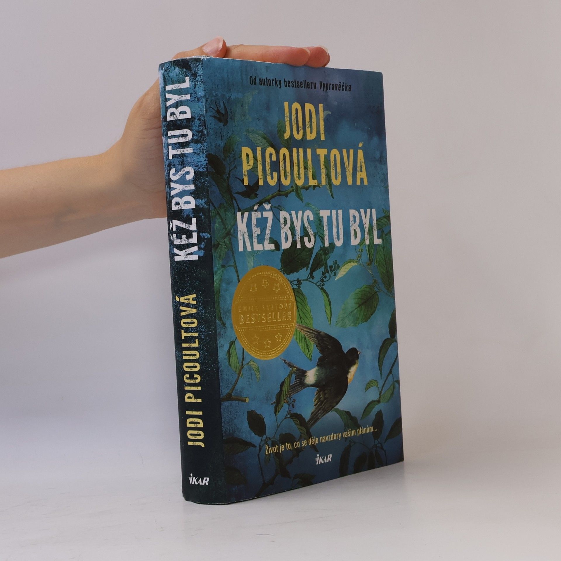 Jodi Picoult Kéž bys tu byl