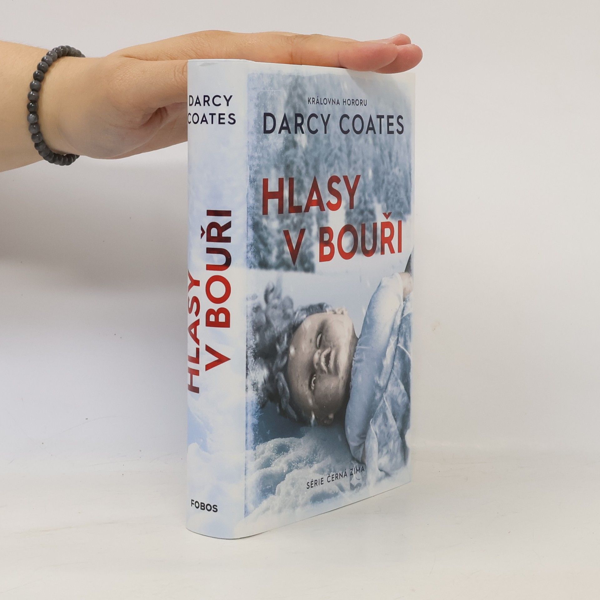 Darcy Coates Hlasy v bouři