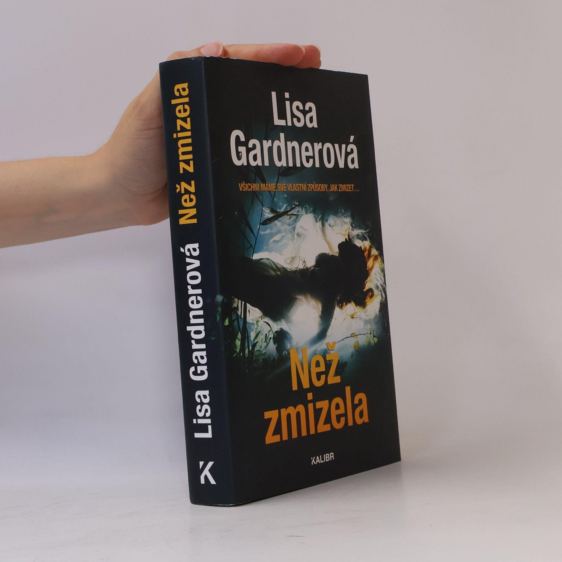 Lisa Gardner Než zmizela