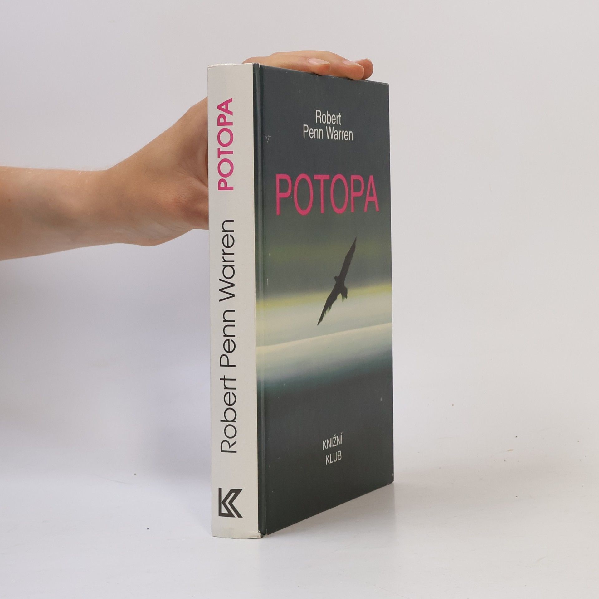 Robert Penn Warren Potopa