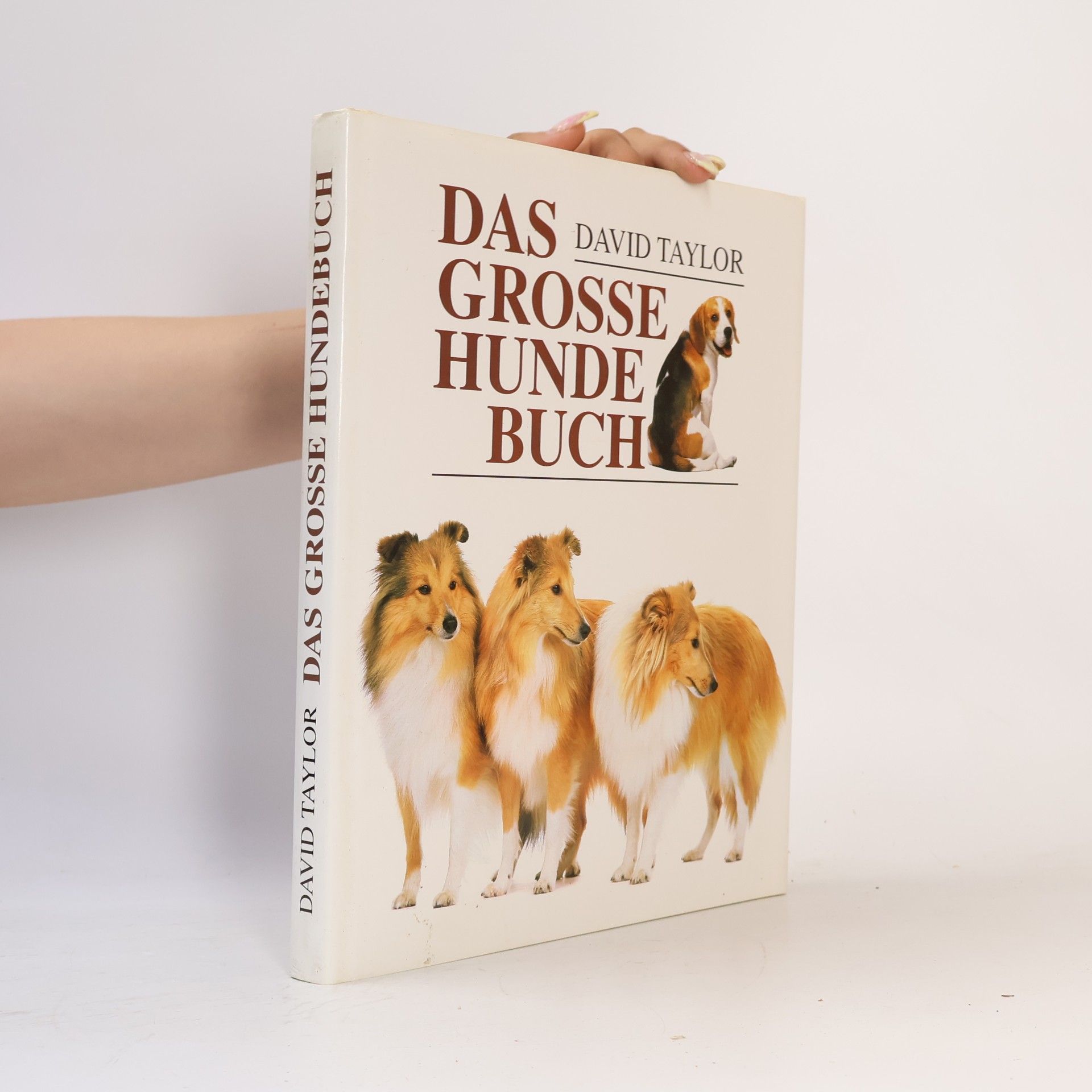 Das grosse Hunde Buch