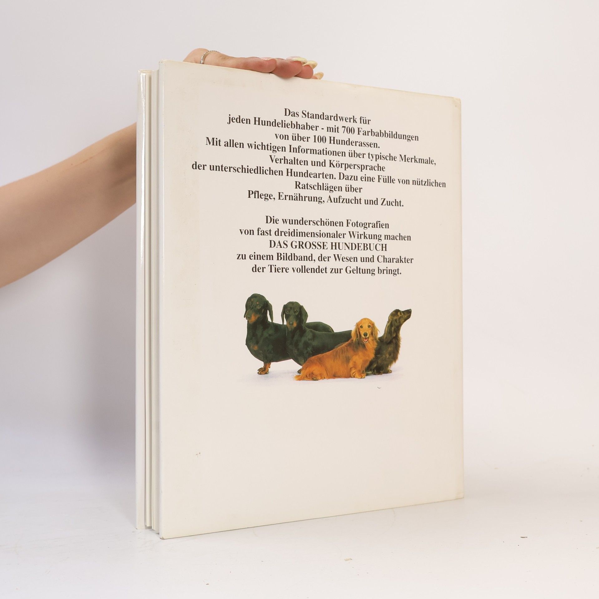 David Taylor Das grosse Hunde Buch