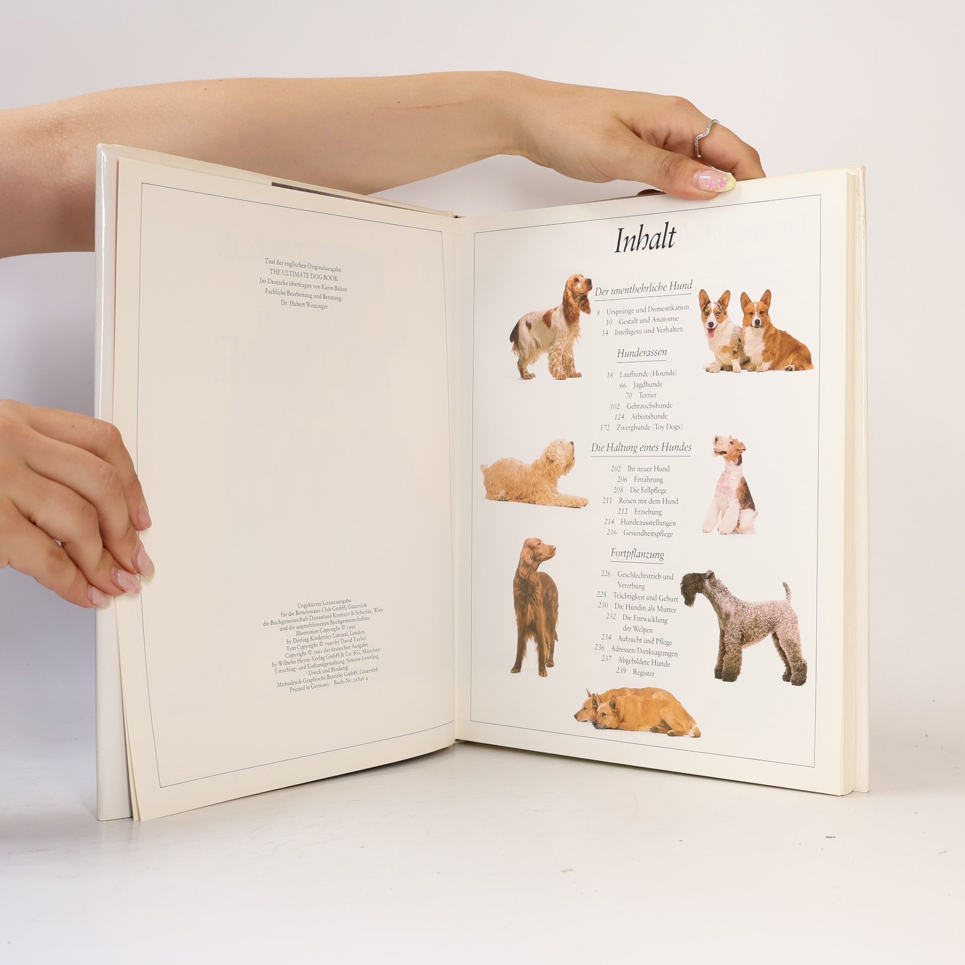 David Taylor Das grosse Hunde Buch