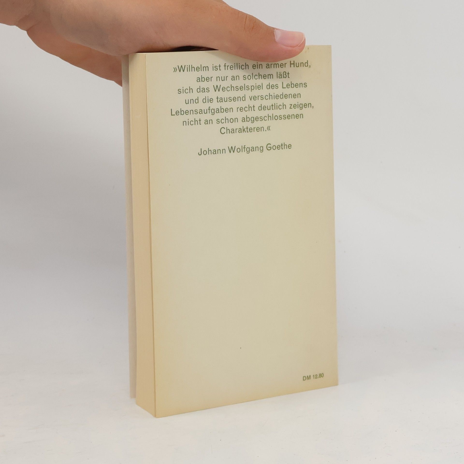 Johann Wolfgang von Goethe Wilhelm Meisters Lehrjahre