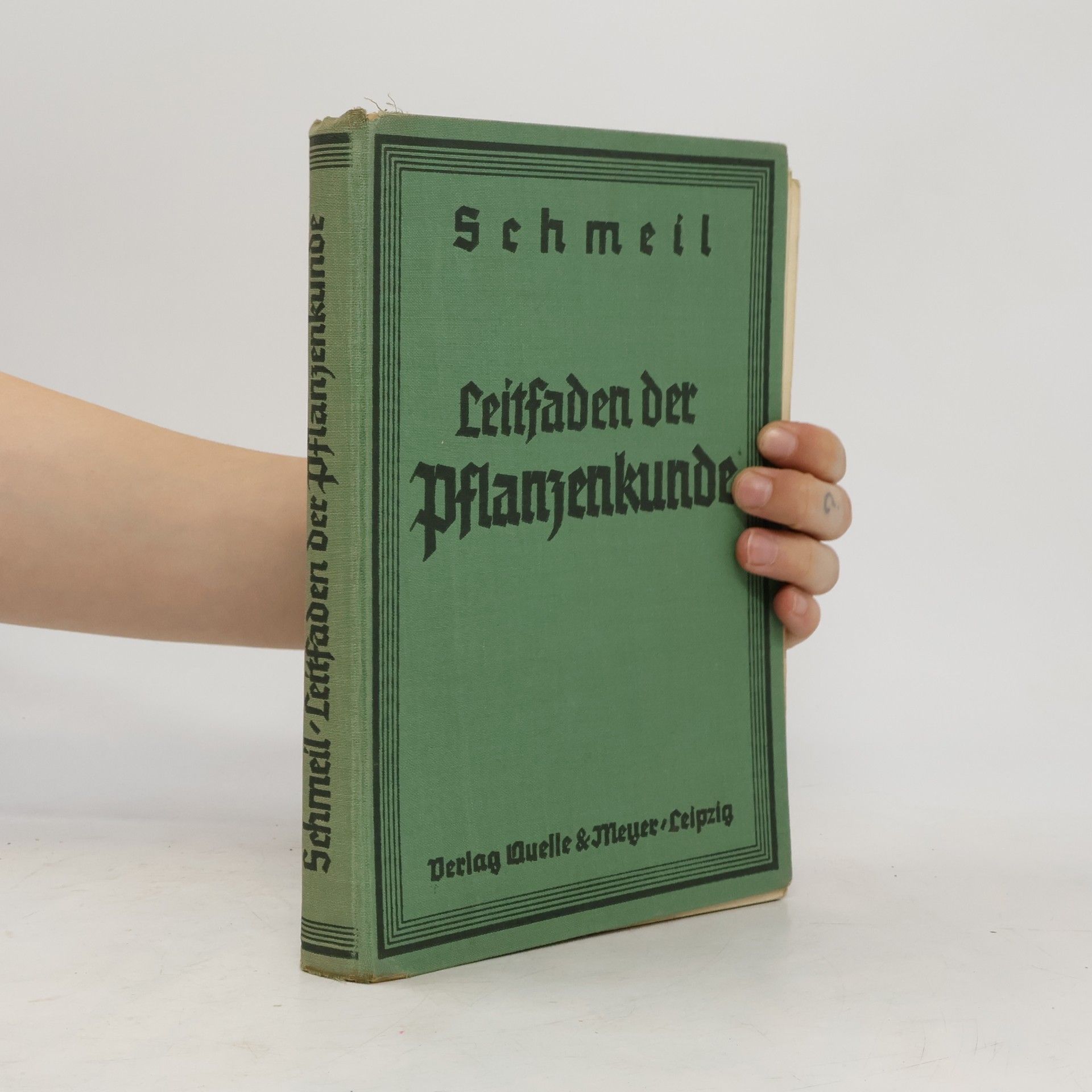 Leitfaden der Pflanzenkunde