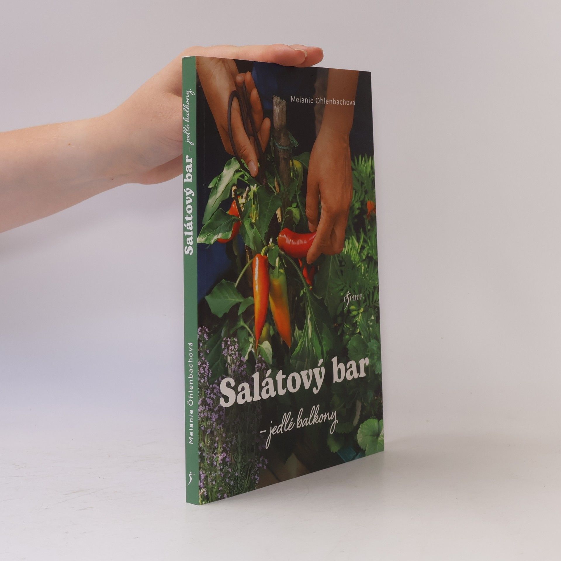 Salátový bar