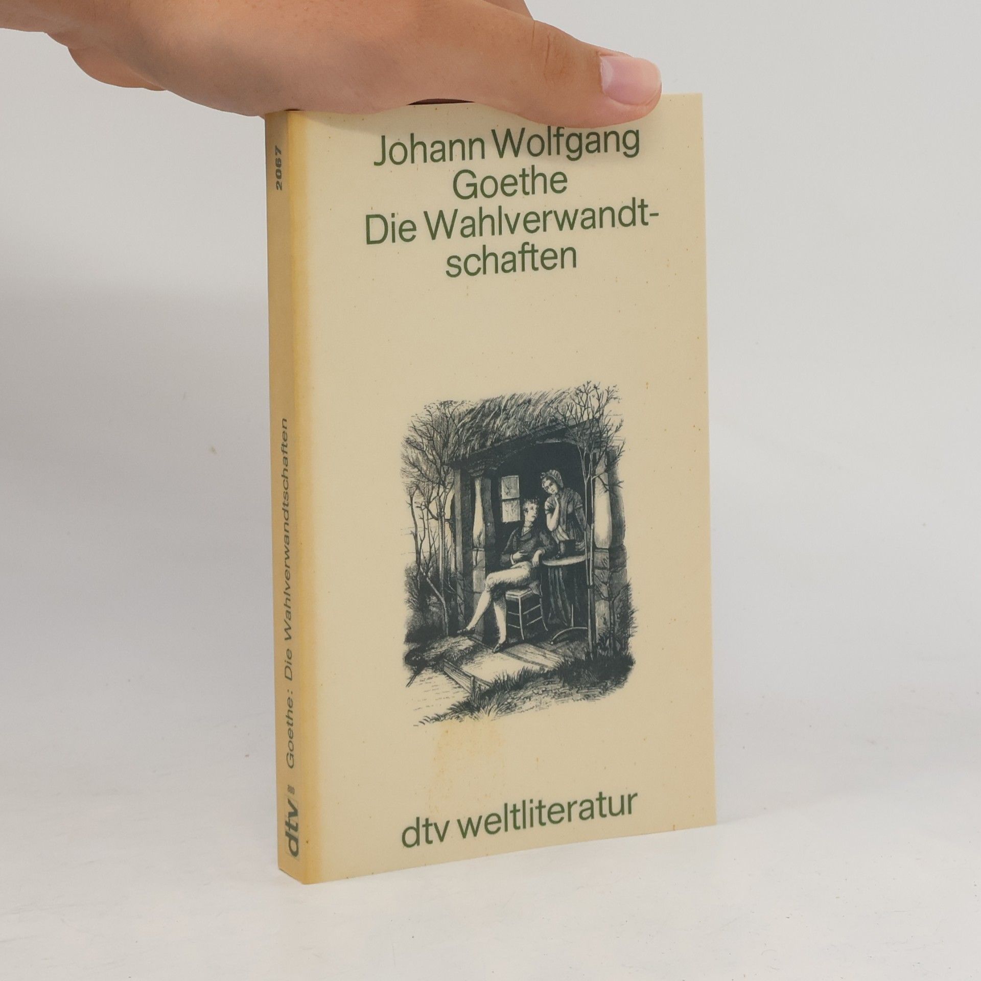 Johann Wolfgang von Goethe Die Wahlverwandtschaften