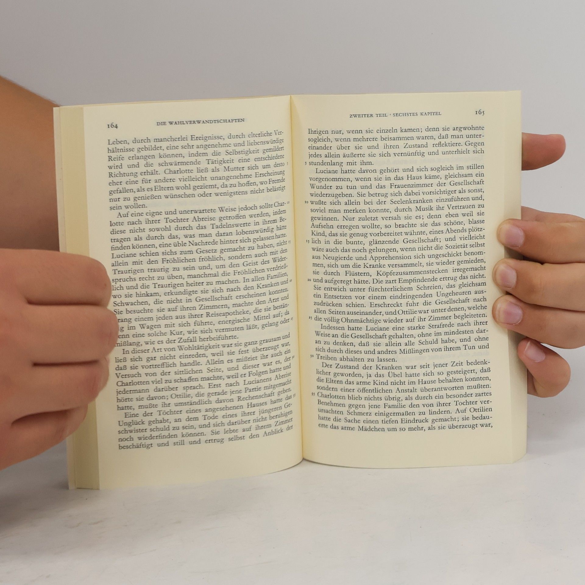 Johann Wolfgang von Goethe Die Wahlverwandtschaften