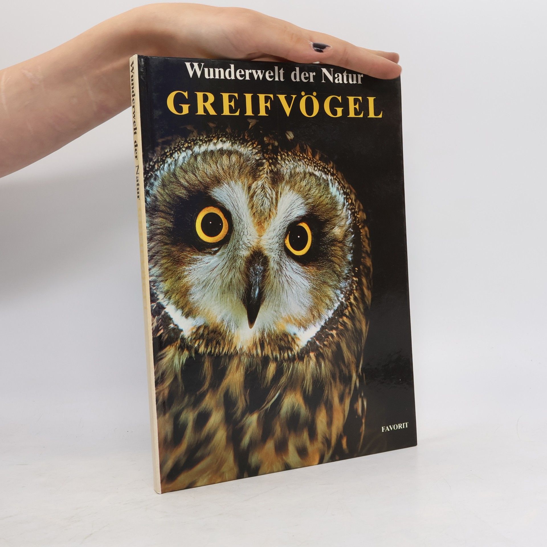 John Andrews Greifvögel Wunderwelt der Natur