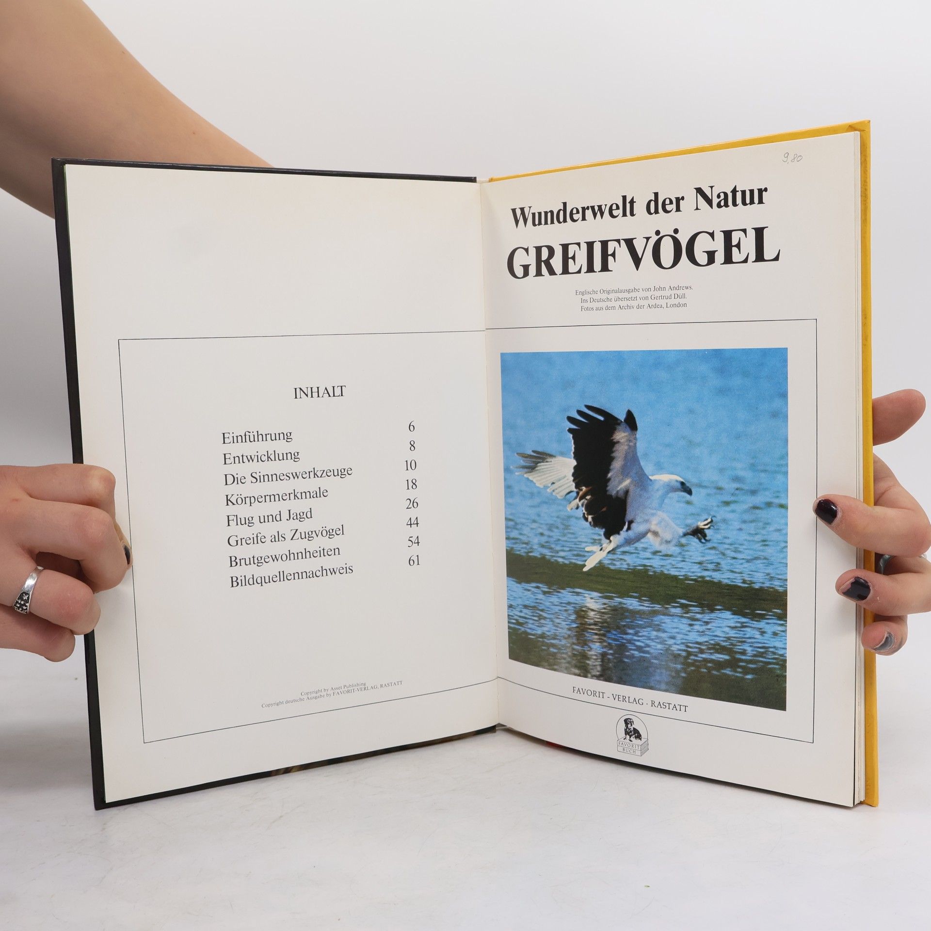 John Andrews Greifvögel Wunderwelt der Natur