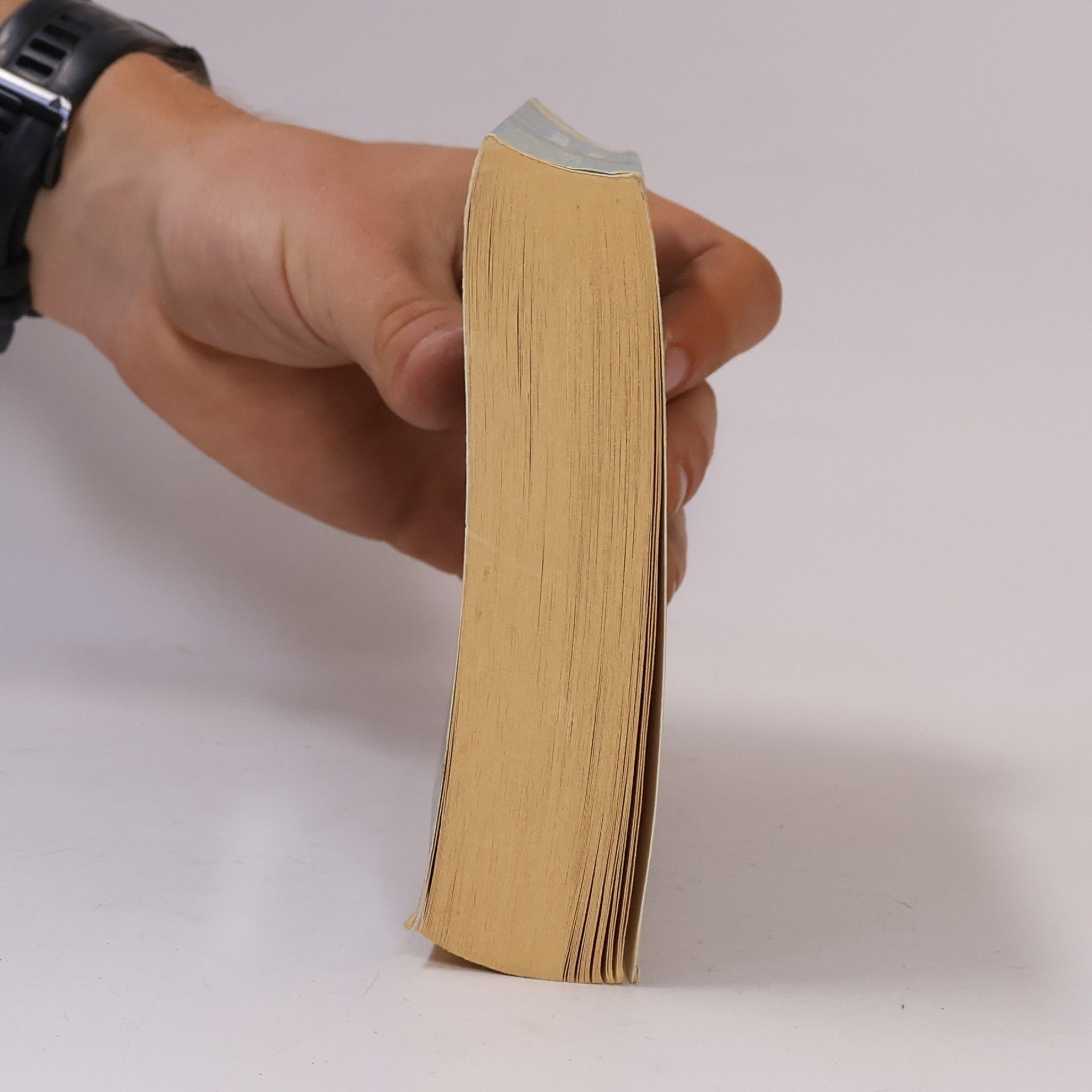 Lisa J. Smith Der magische Zirkel. Die Erlösung