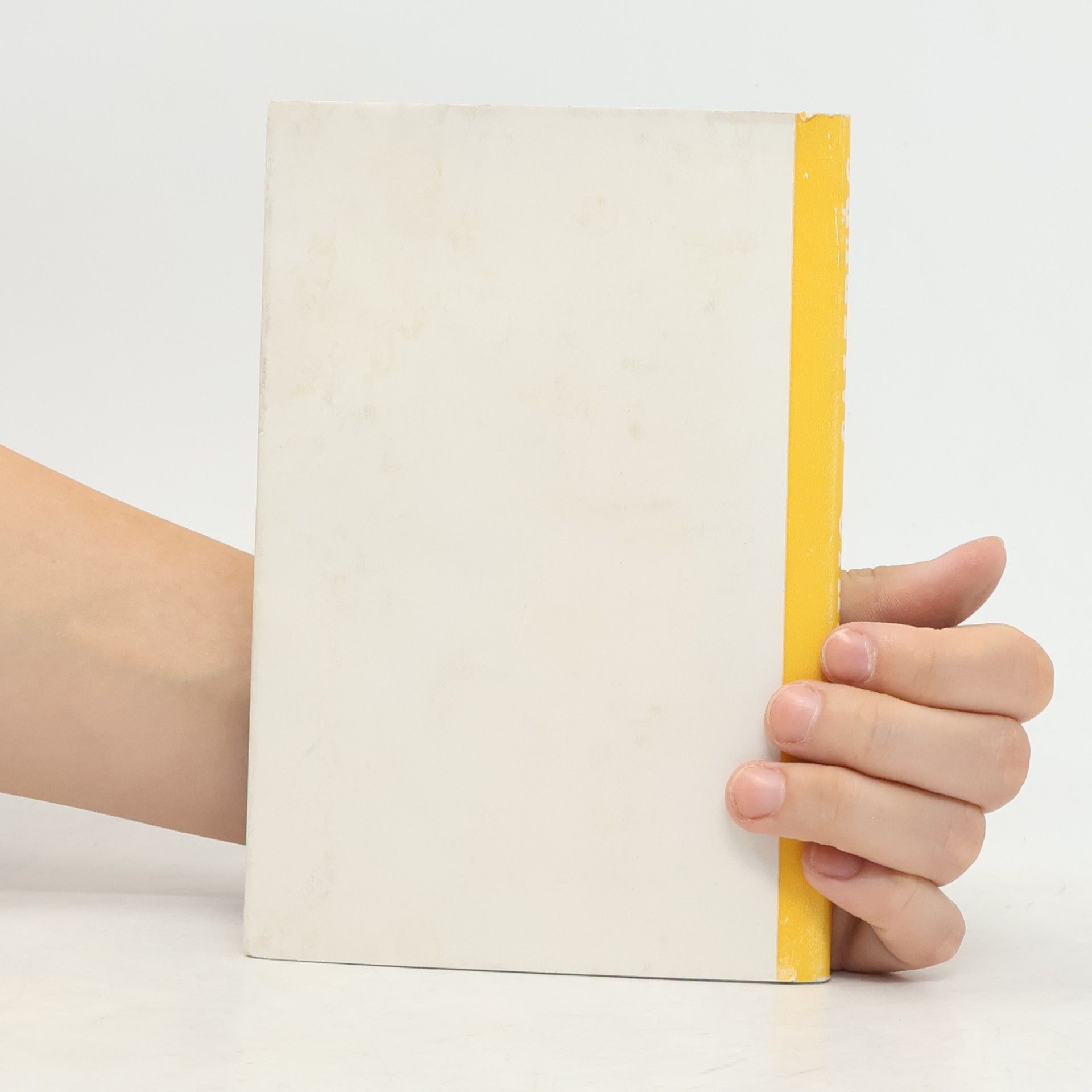 Franz Martin Dehio-Handbuch. Die Kunstdenkmäler Österreichs. Salzburg