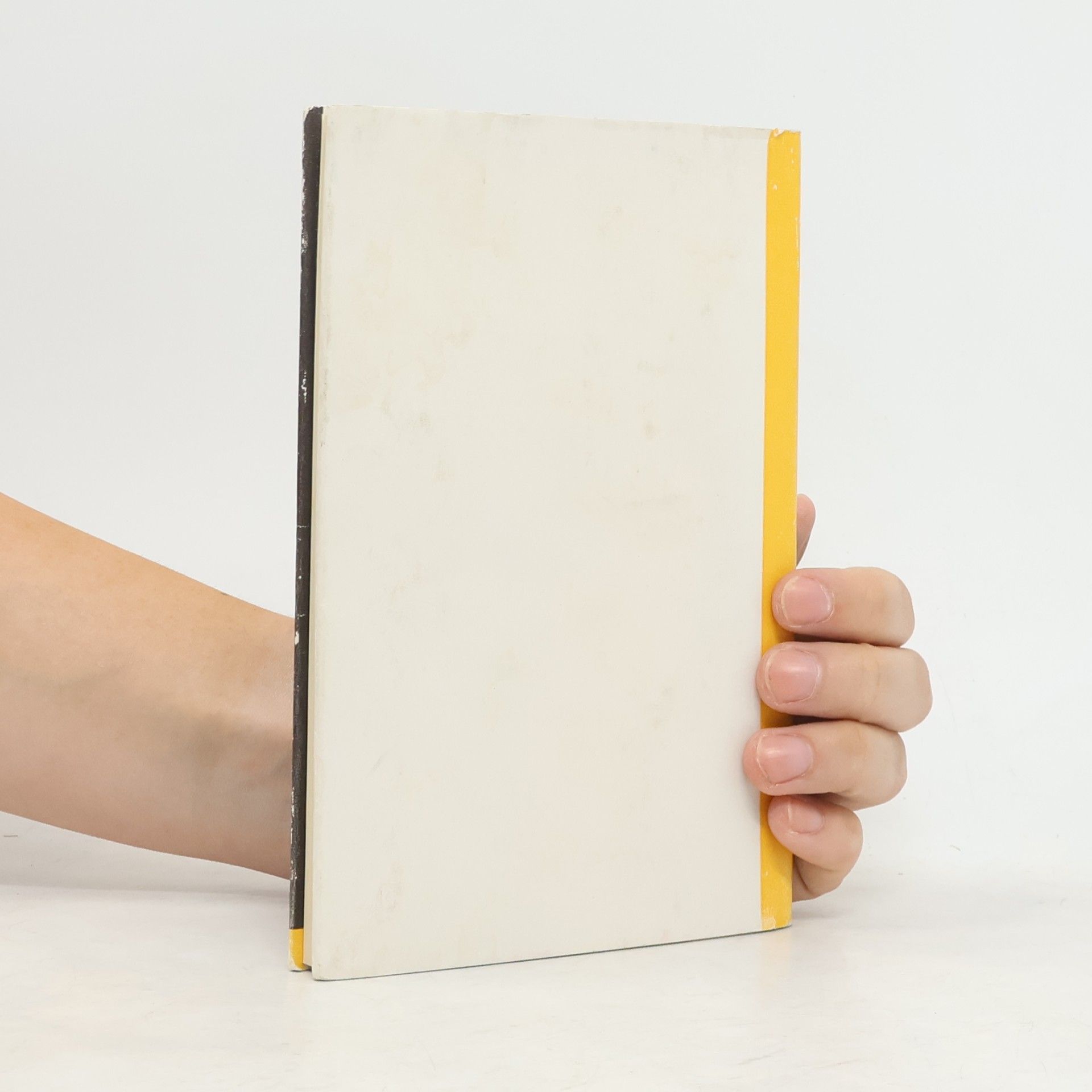 Franz Martin Dehio-Handbuch. Die Kunstdenkmäler Österreichs. Salzburg