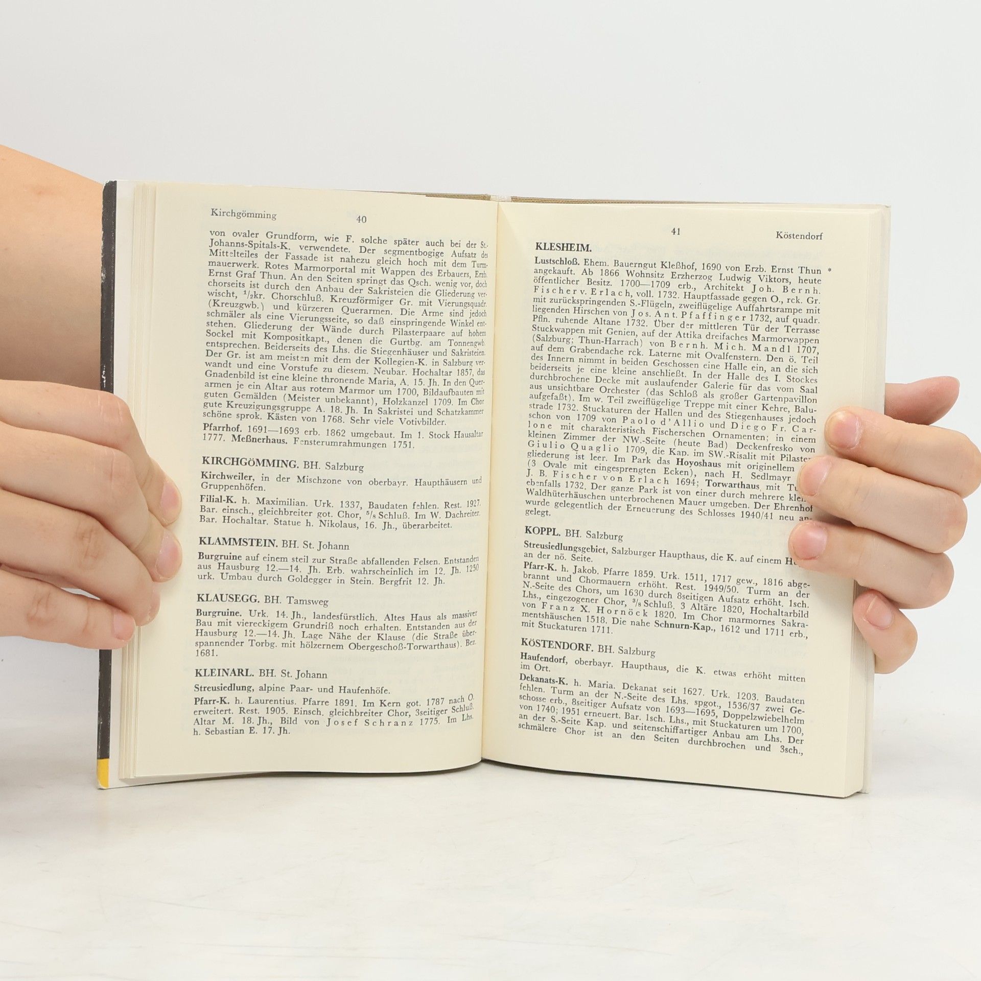 Franz Martin Dehio-Handbuch. Die Kunstdenkmäler Österreichs. Salzburg