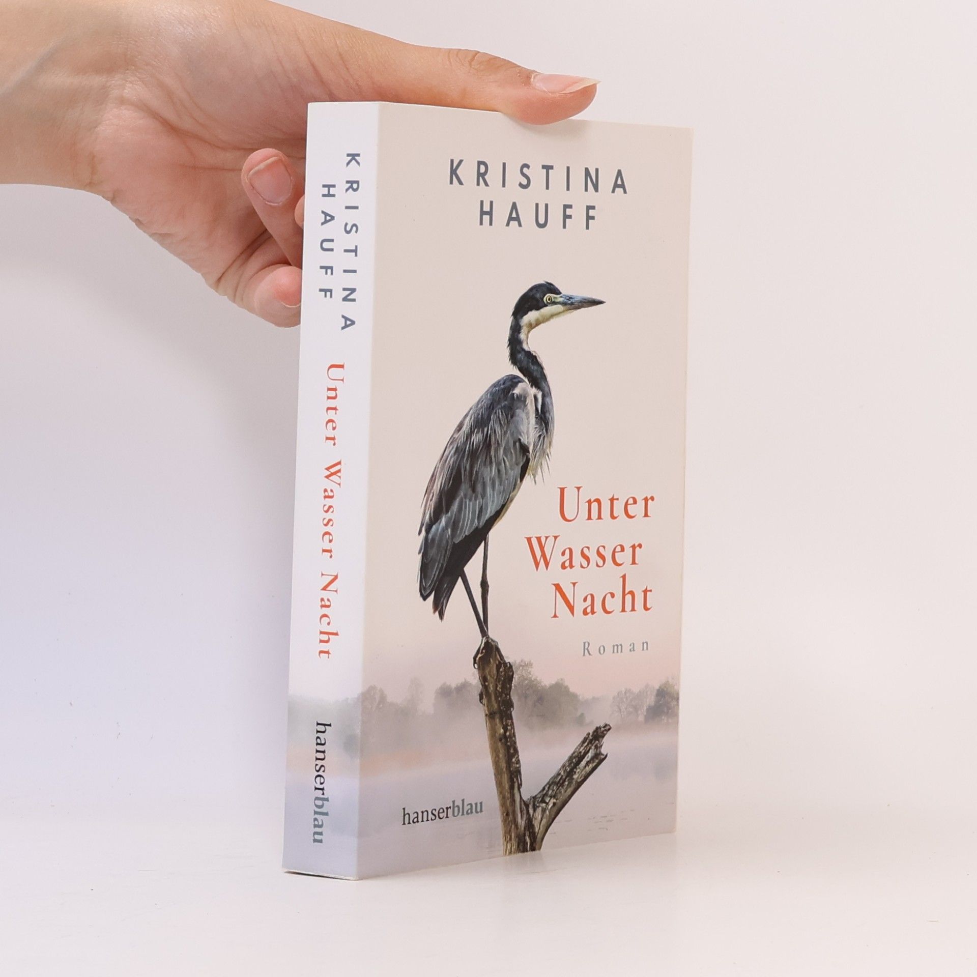 Kristina Hauff Unter Wasser Nacht