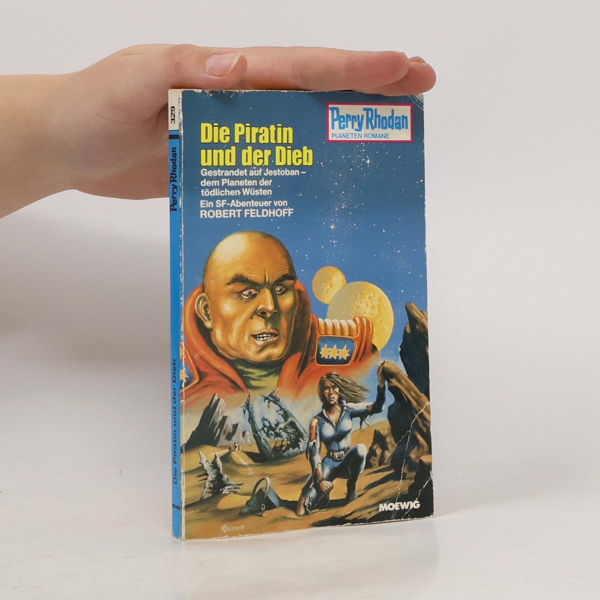 Robert Feldhoff Die Piratin und der Dieb
