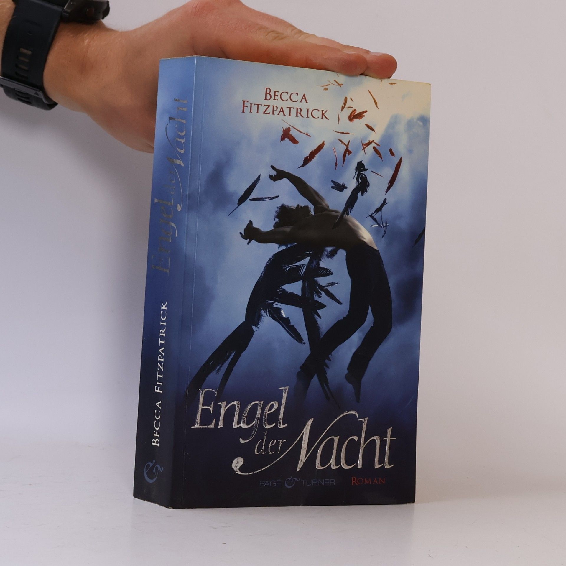 Becca Fitzpatrick Engel der Nacht