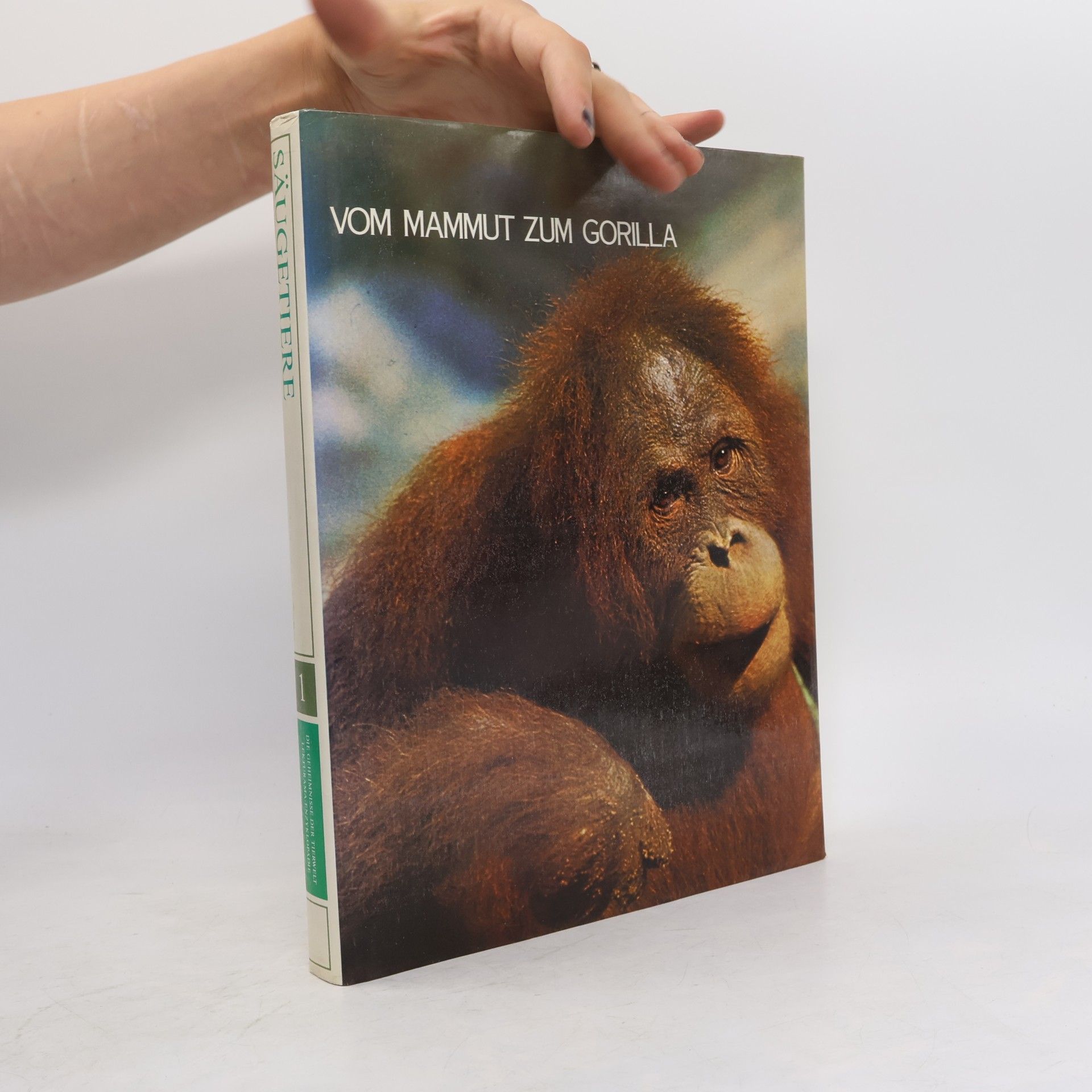 Autorenkollektiv Von Mammut zum Gorilla