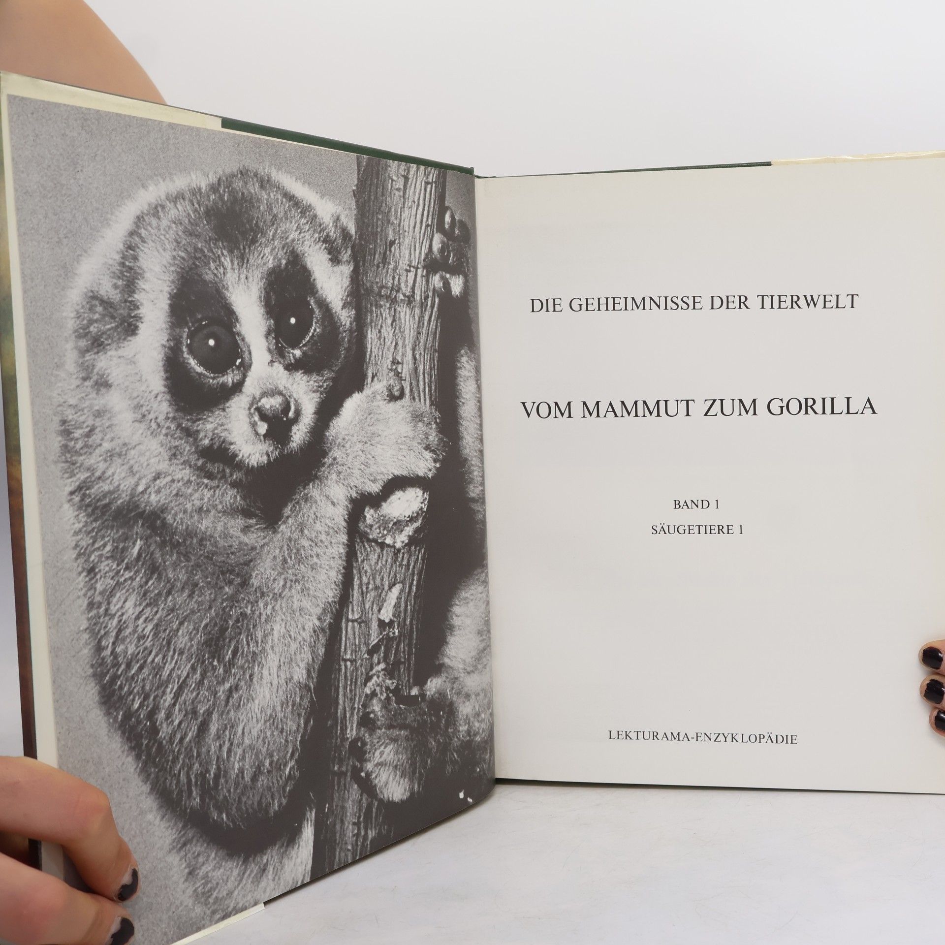 Autorenkollektiv Von Mammut zum Gorilla