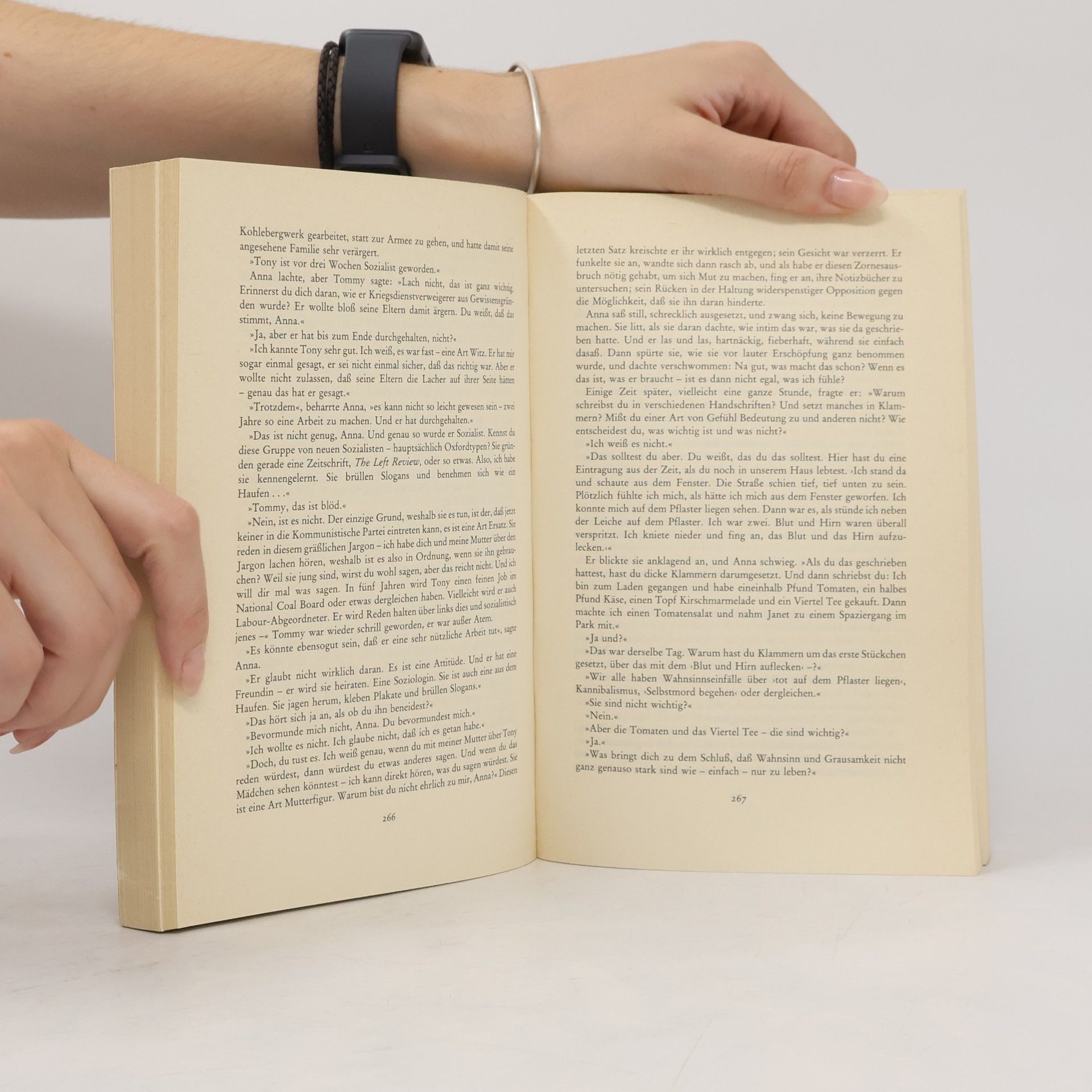 Doris May Lessing Das goldene Notizbuch