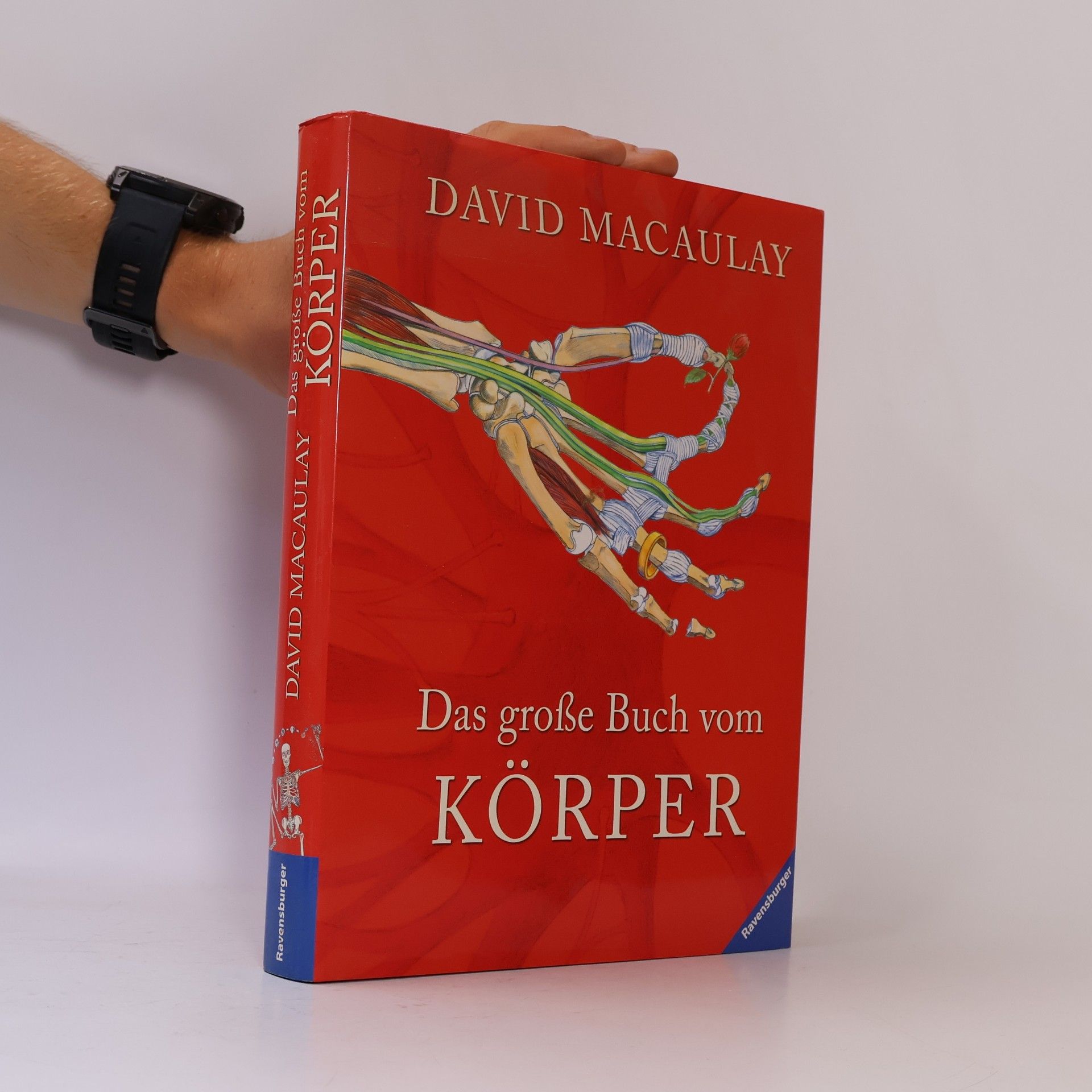 David Macaulay Das große Buch vom Körper