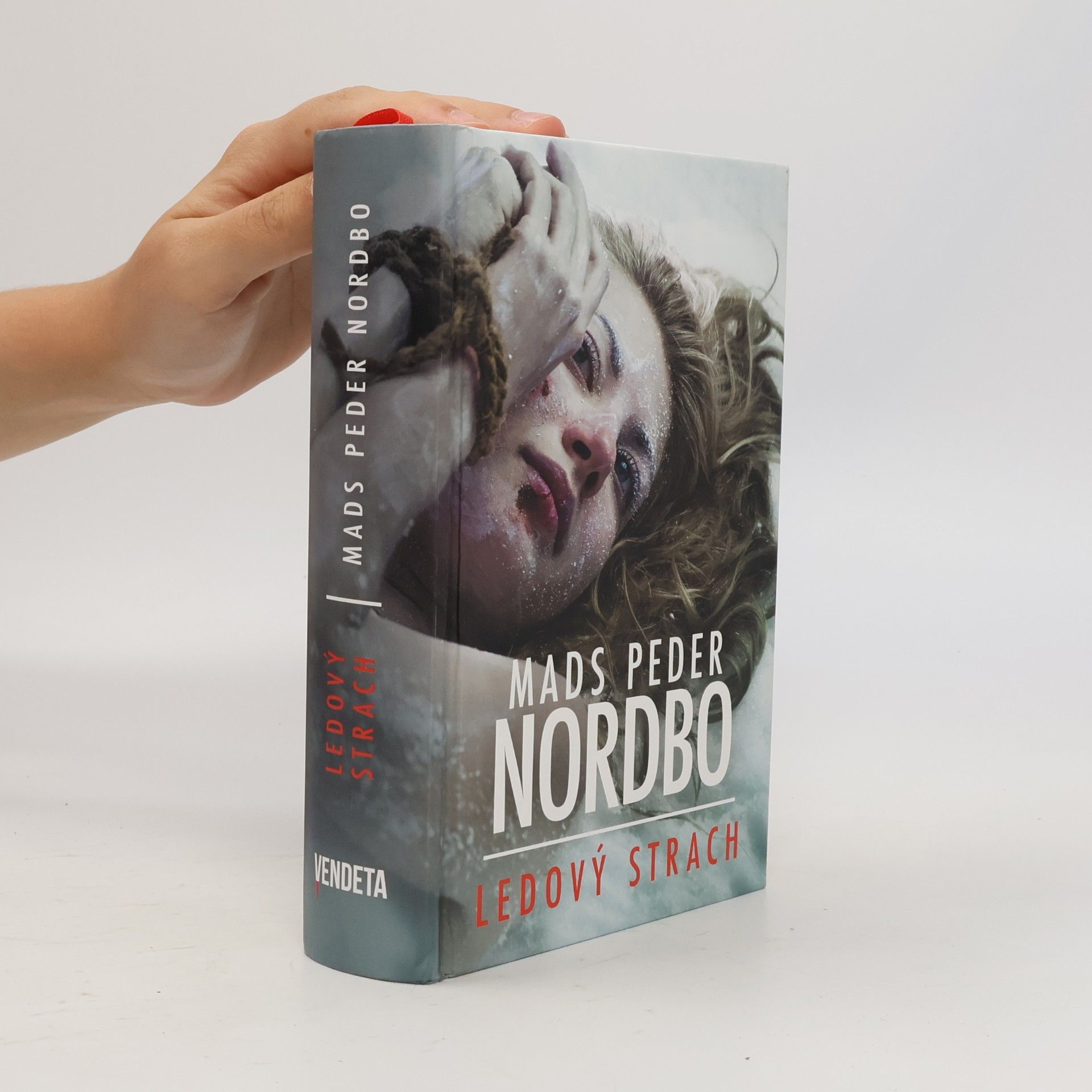 Mads Peder Nordbo Ledový strach