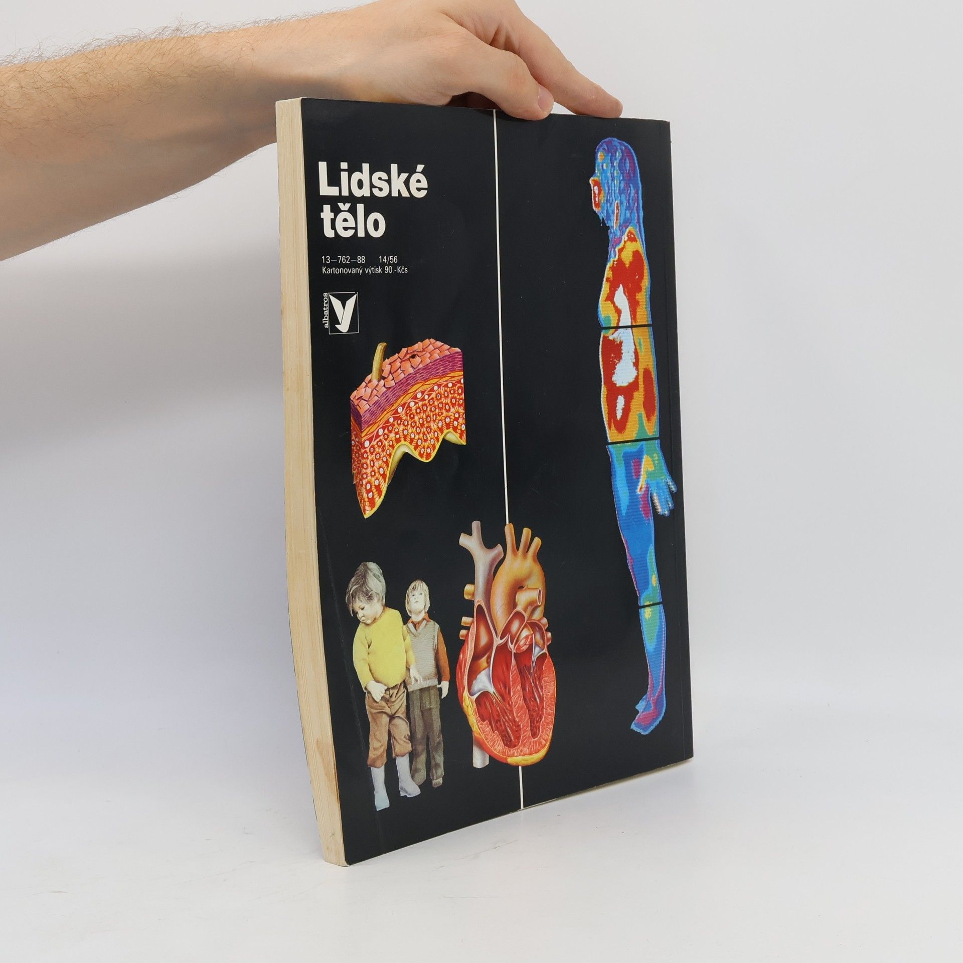 Autorenkollektiv Lidské tělo