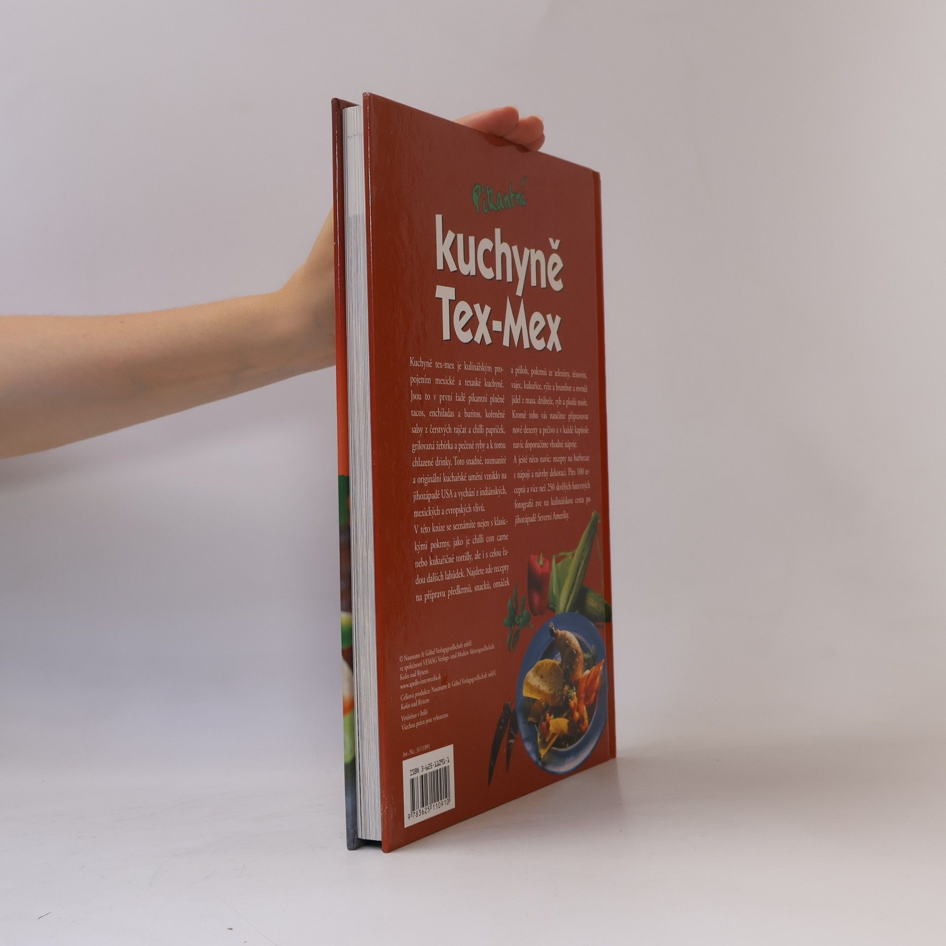 Kolektiv autorů Pikantní kuchyně Tex-Mex