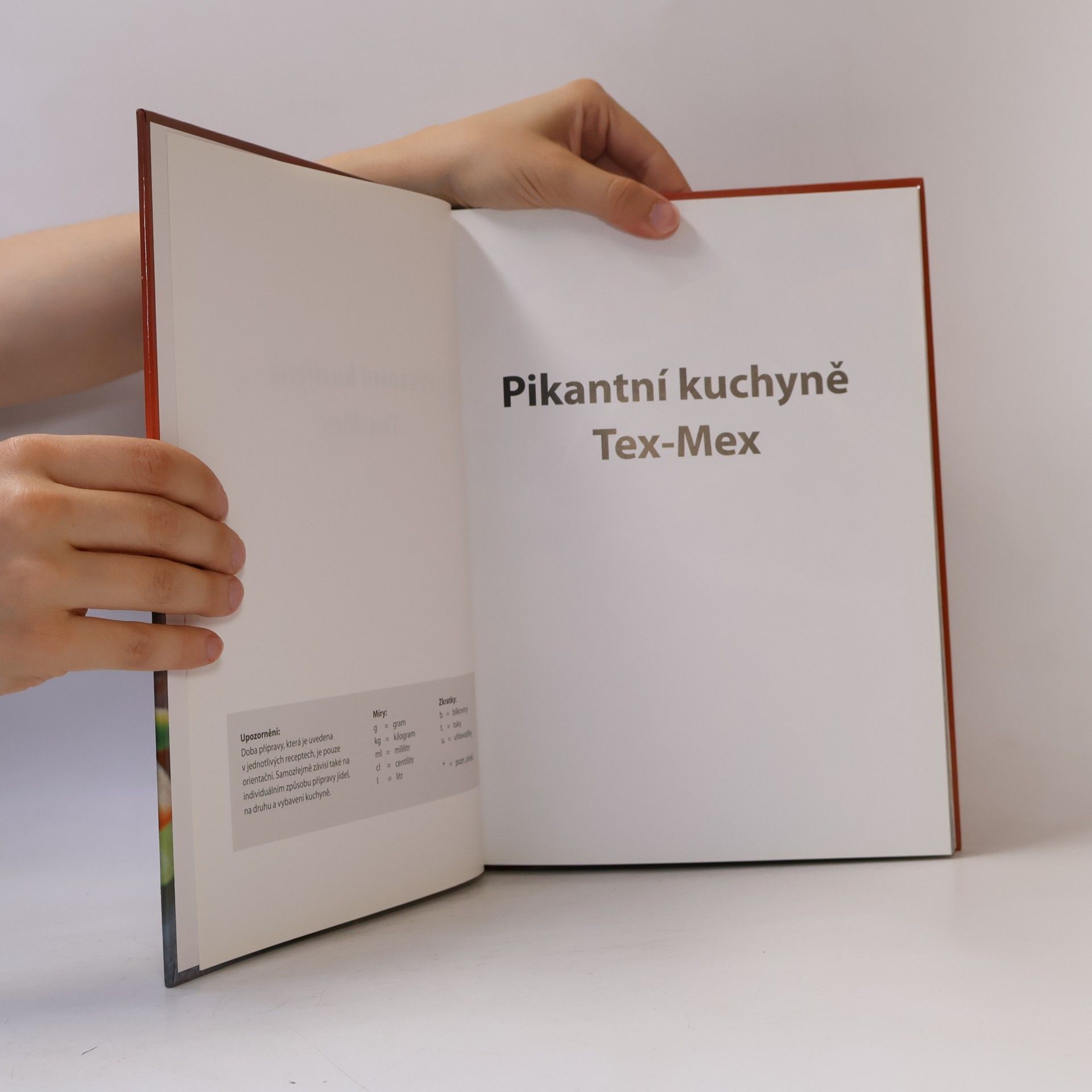 Kolektiv autorů Pikantní kuchyně Tex-Mex