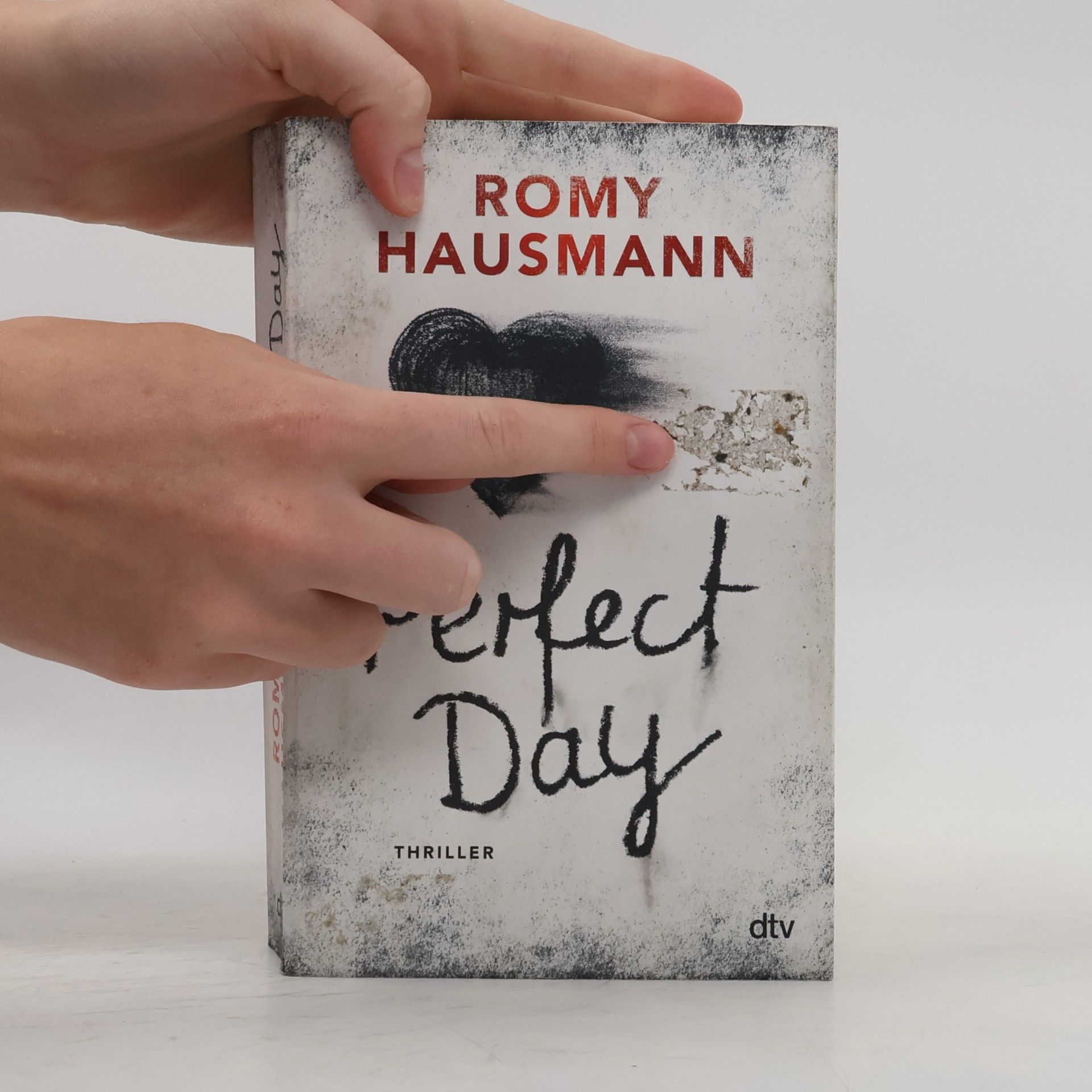 Romy Hausmann Perfect Day