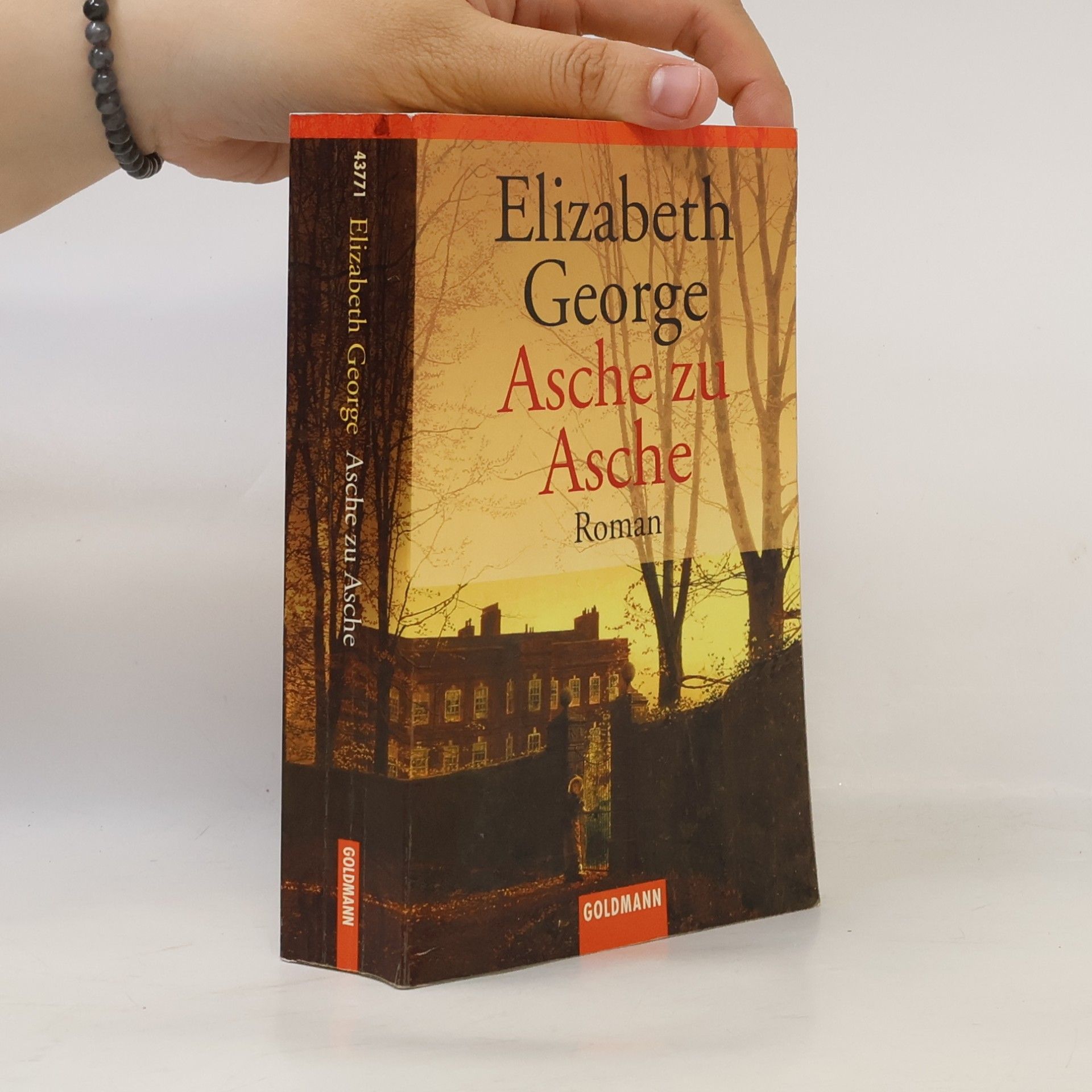 Elizabeth George Asche zu Asche
