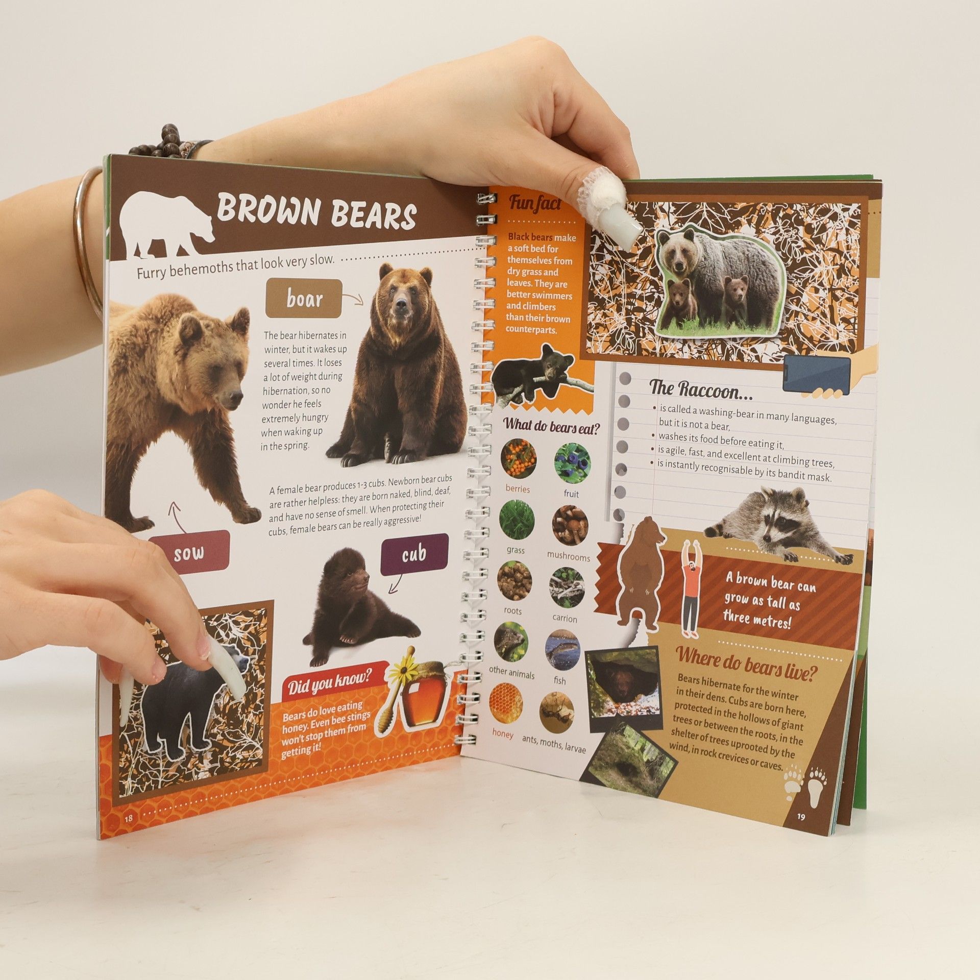 Bernadett Mosonyi Mammals in Forests