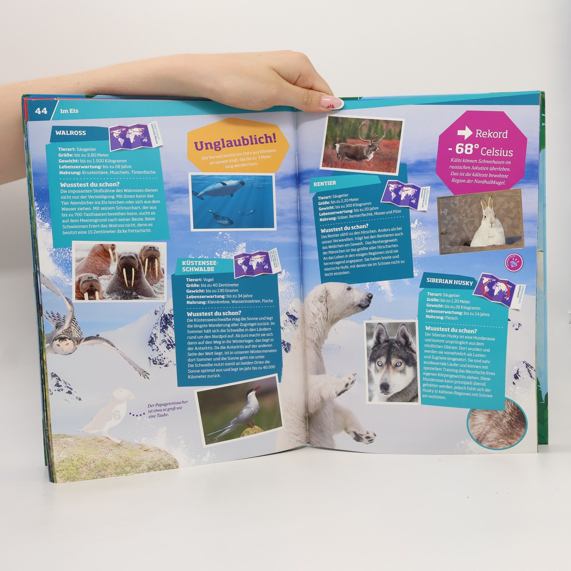 Various authors Abenteuer Tierwelt