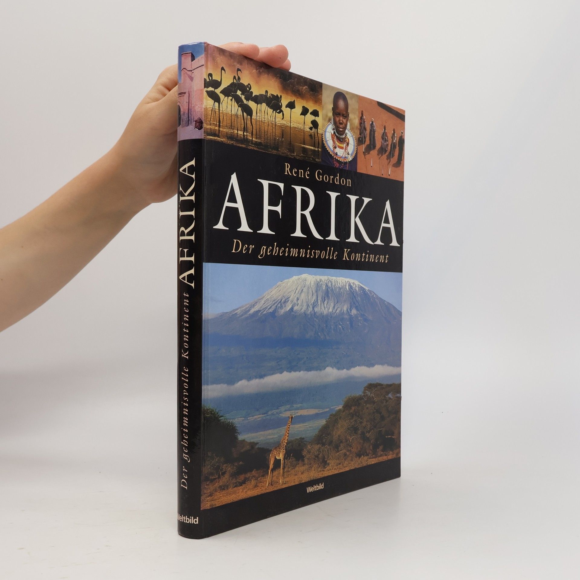 Rene Gordon Afrika