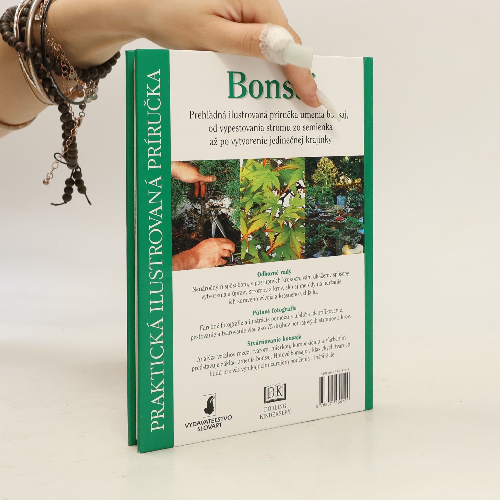 Autorenkollektiv Bonsaj