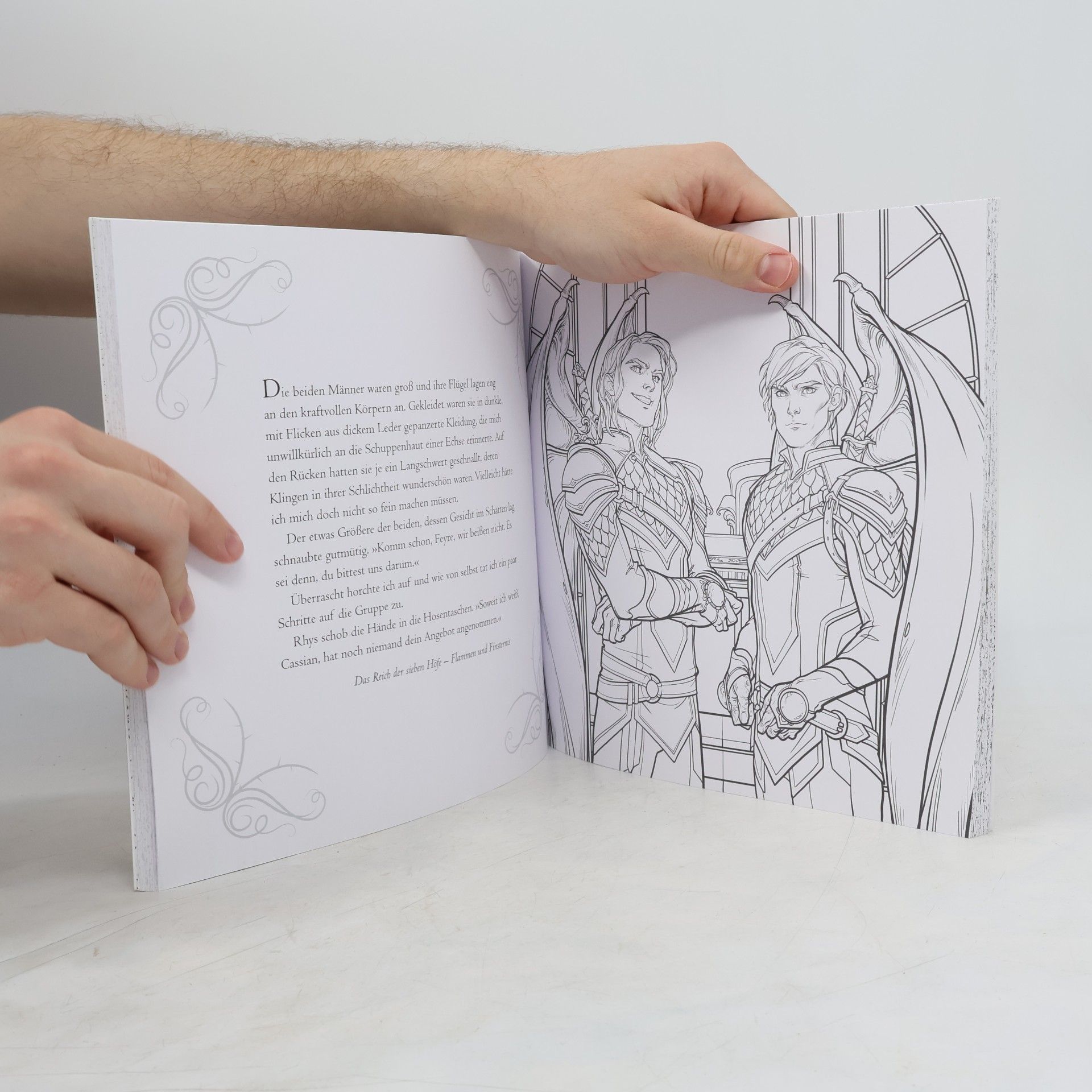 Sarah J. Maas Das große das Reich der Sieben Höfe Fanbuch