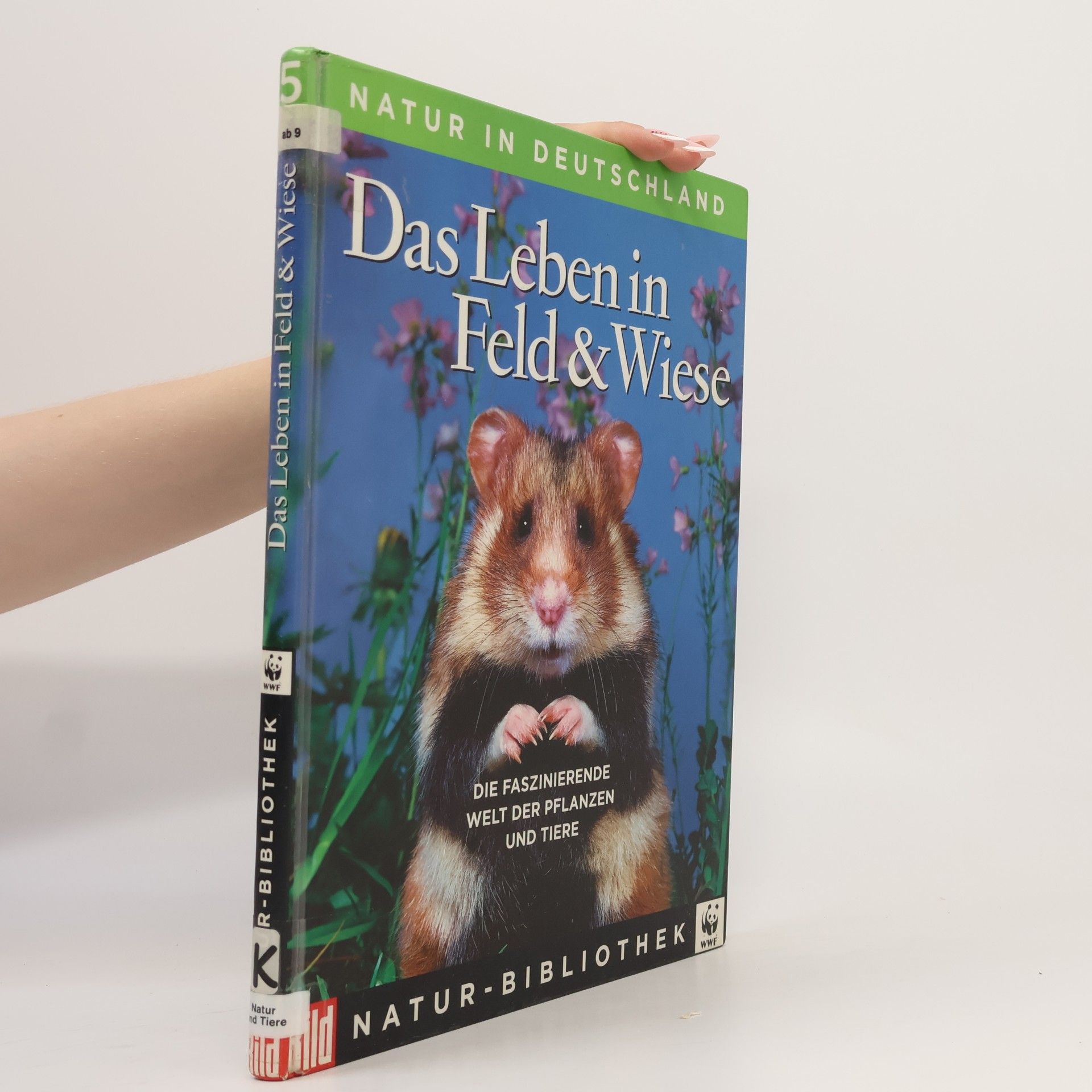 Regine Watscheid Natur in Deutschland 5. Das Leben in Feld & Wiese