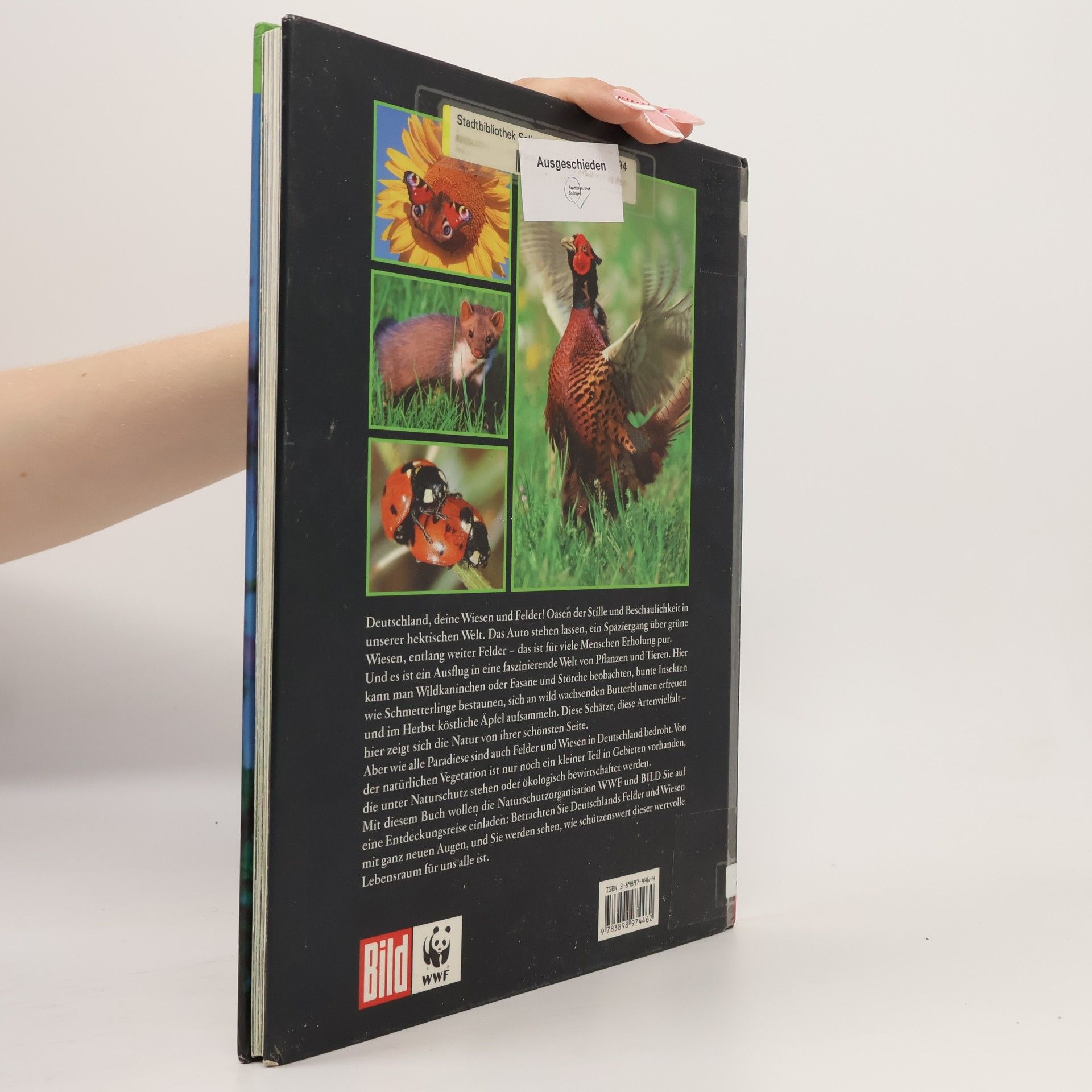 Regine Watscheid Natur in Deutschland 5. Das Leben in Feld & Wiese