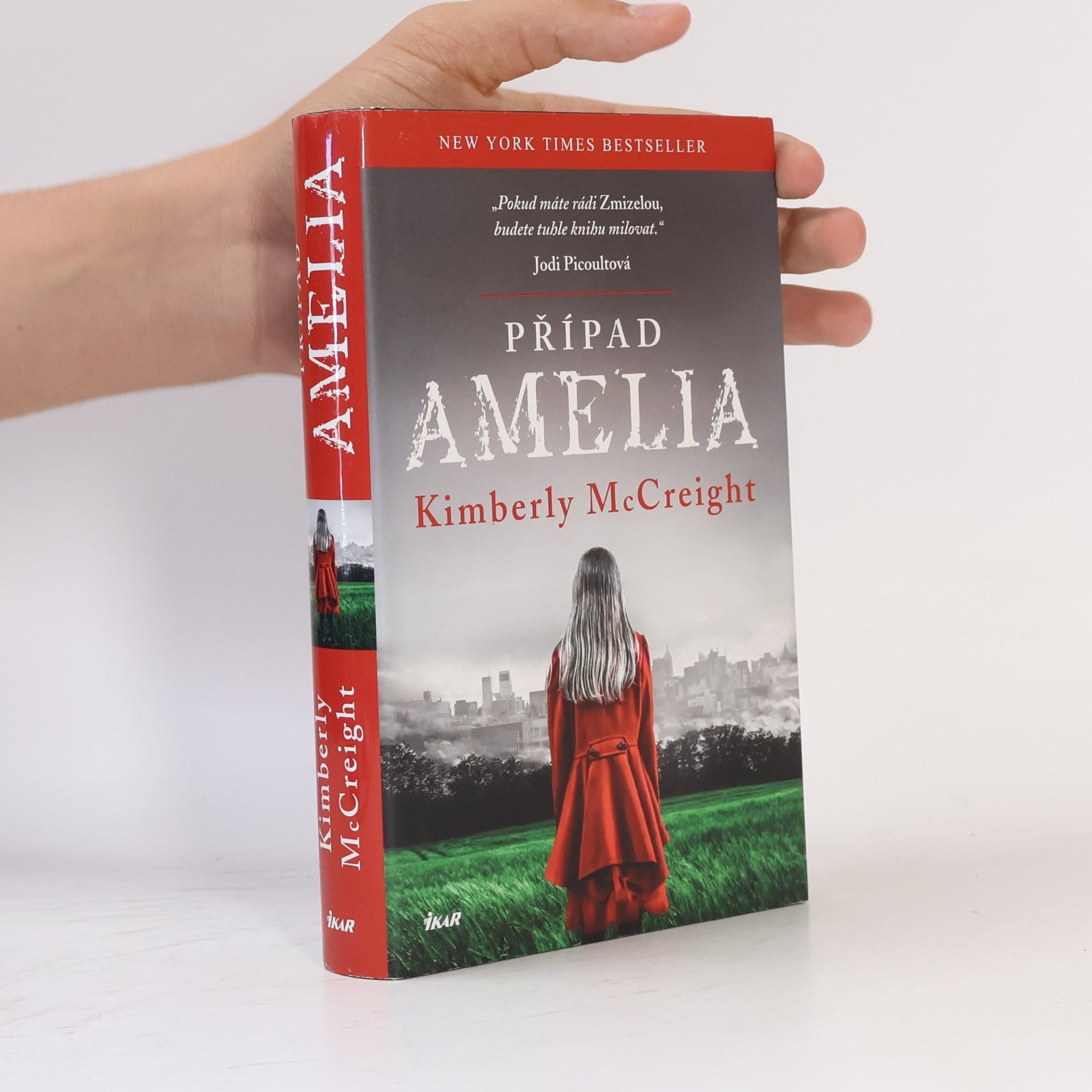 Kimberly McCreight Případ Amelia