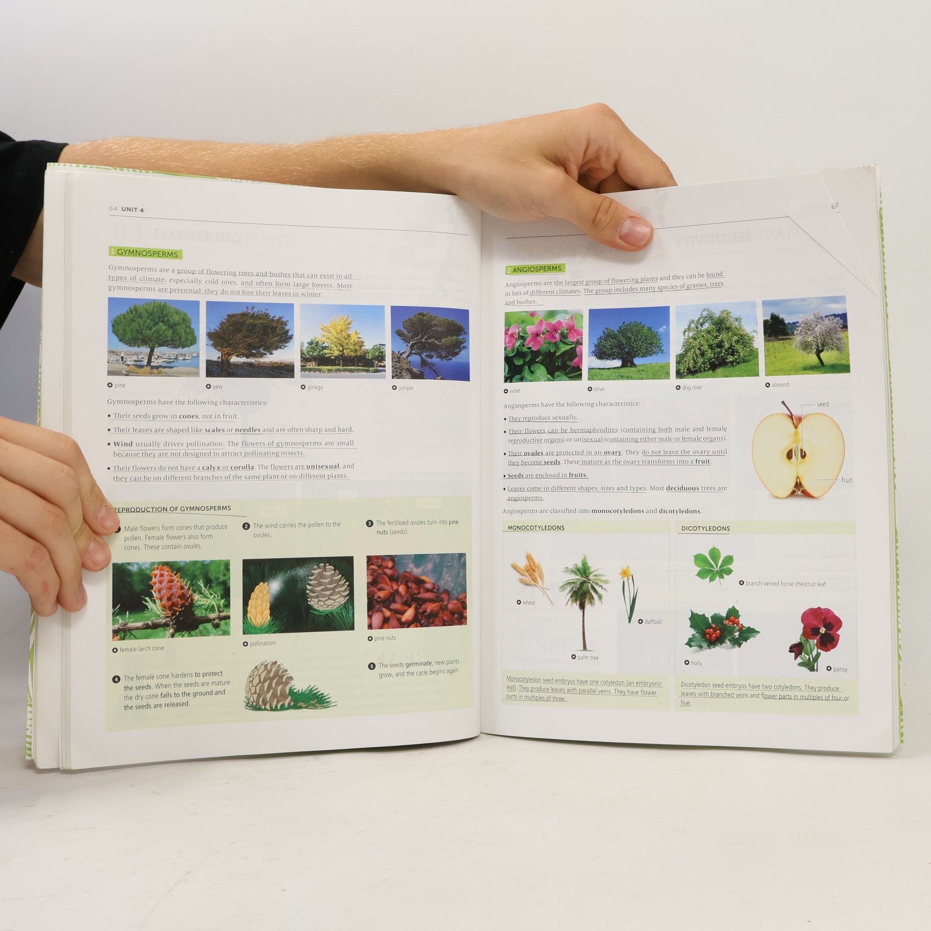 BY ME: Biology And Geology Learn And Take Action 1º ESO