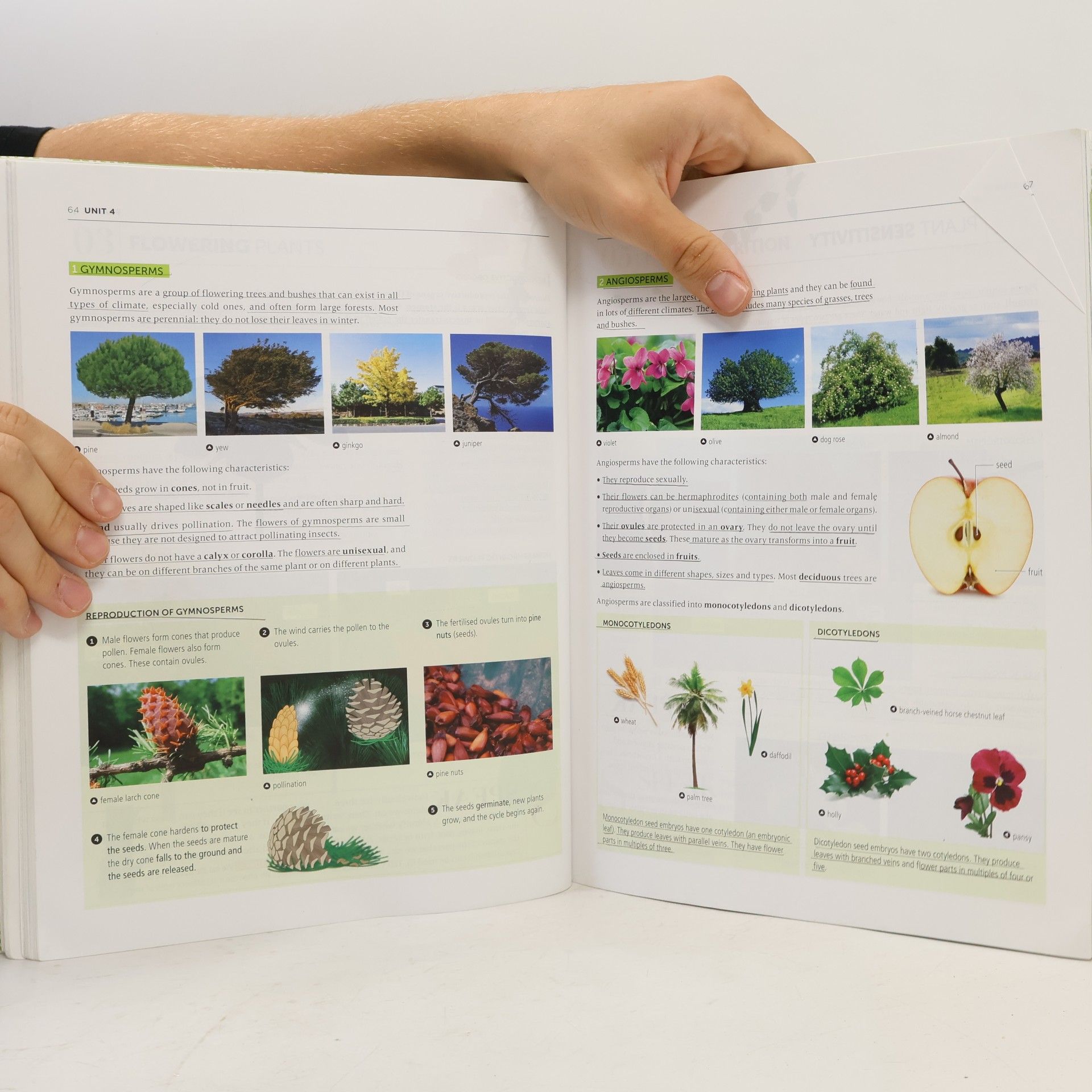 BY ME: Biology And Geology Learn And Take Action 1º ESO
