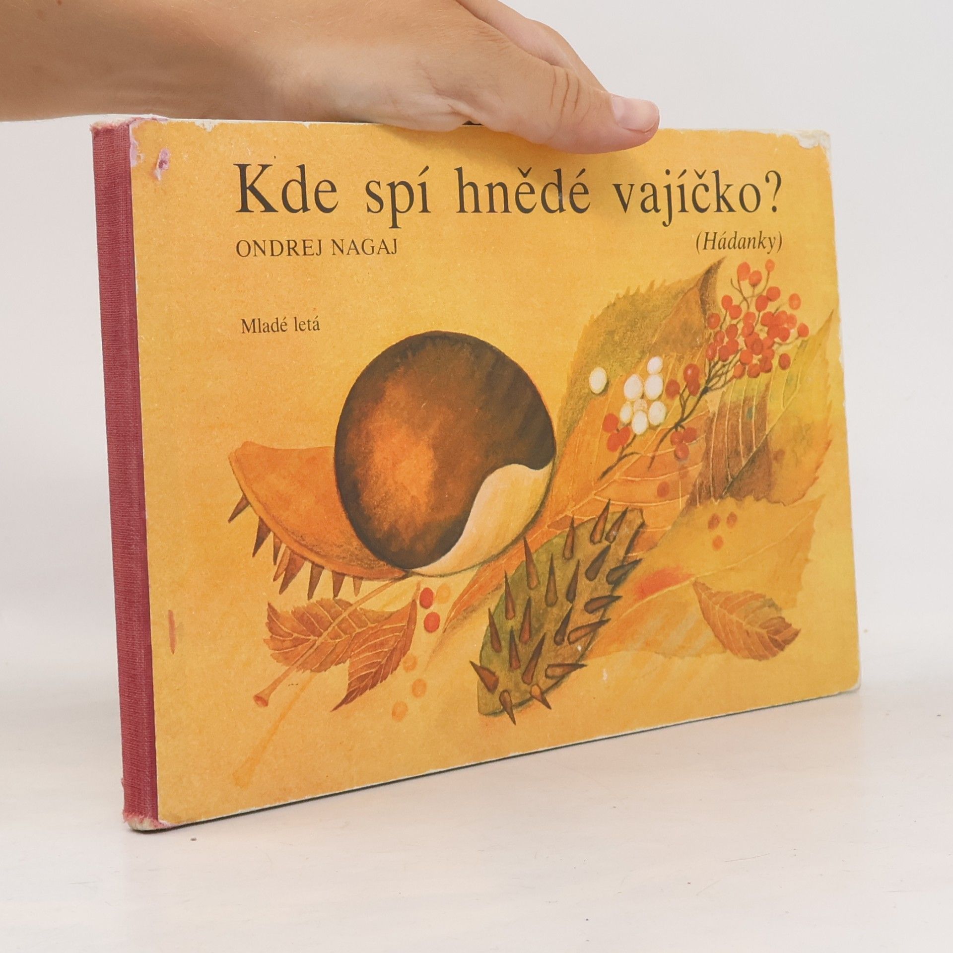 Kde spí hnědé vajíčko?