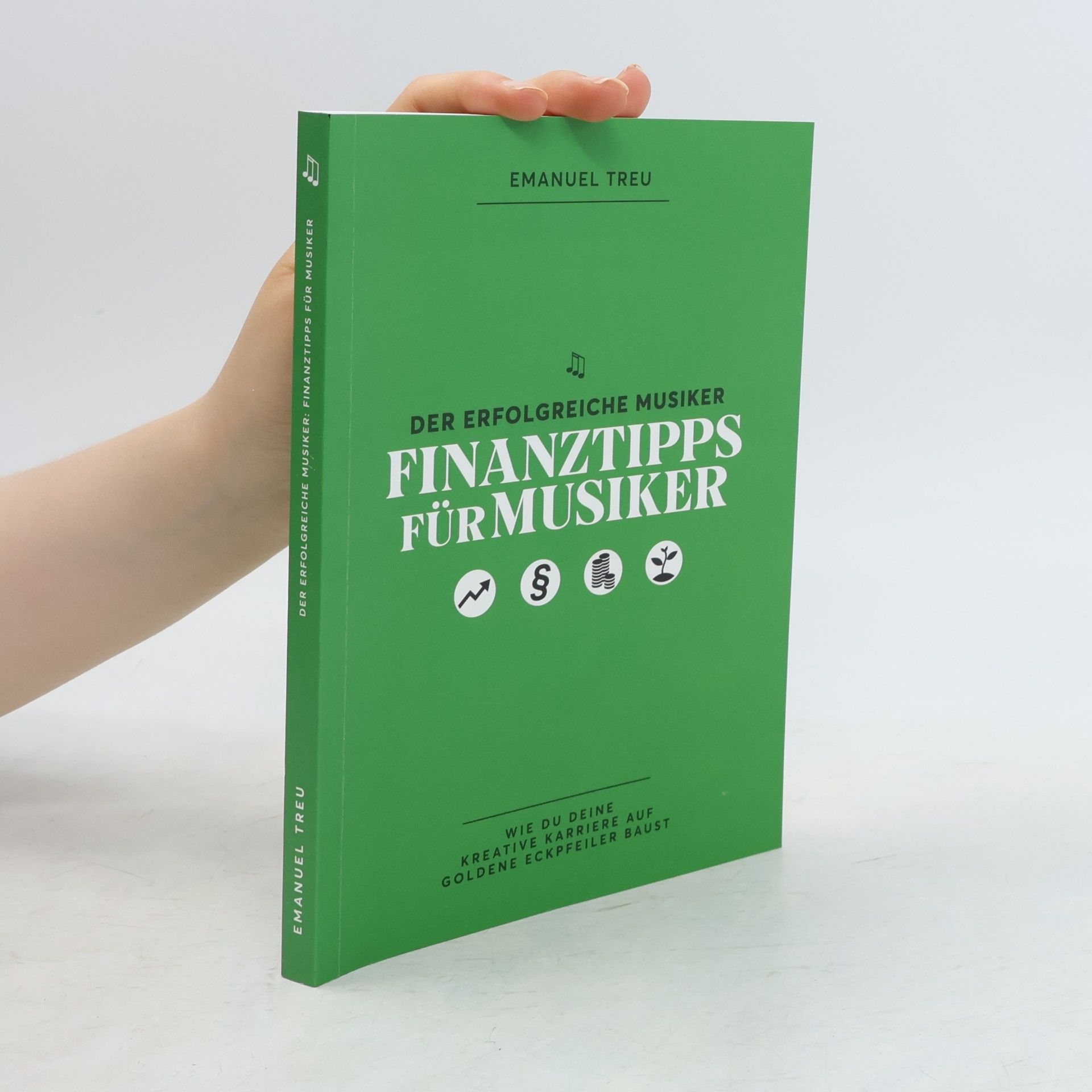 Emanuel Treu Der erfolgreiche Musiker: Finanztipps für Musiker