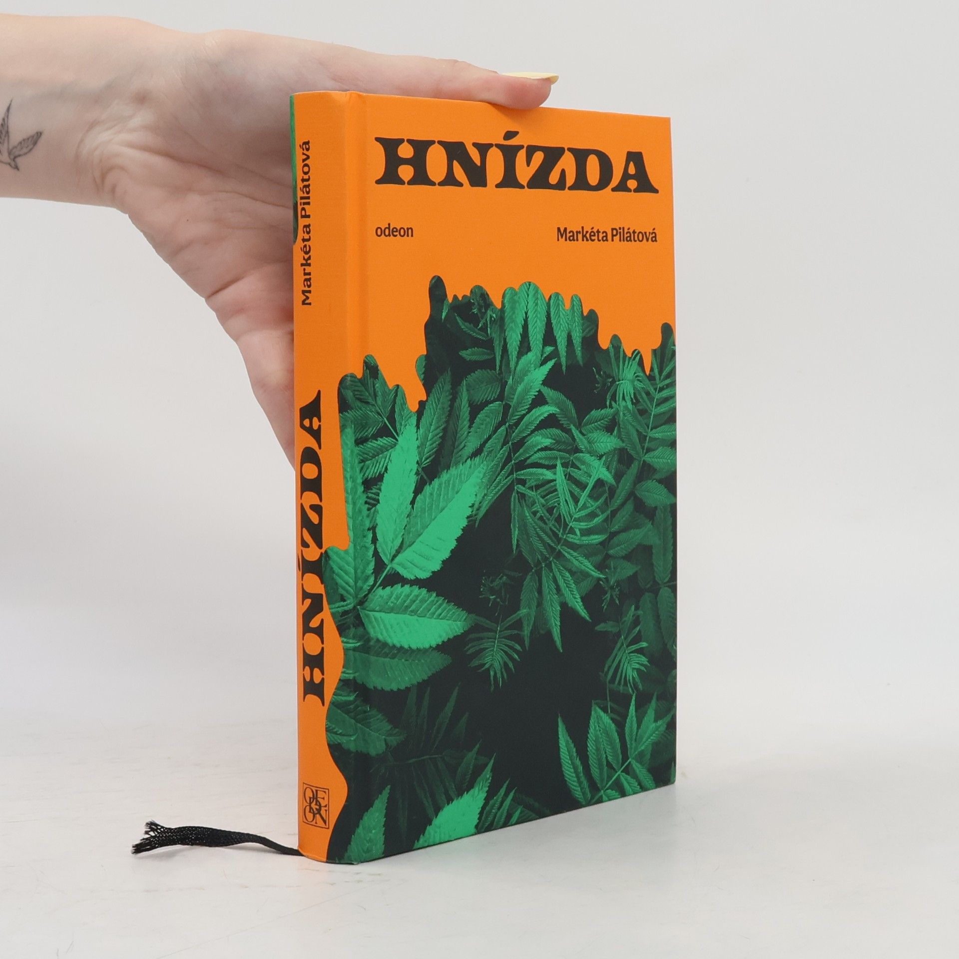 Markéta Pilátová Hnízda
